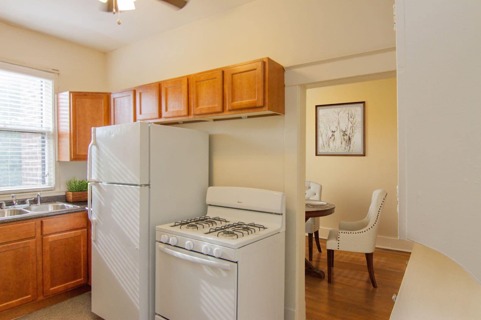 Memphis Apartment: 6 South McLean Boulevard