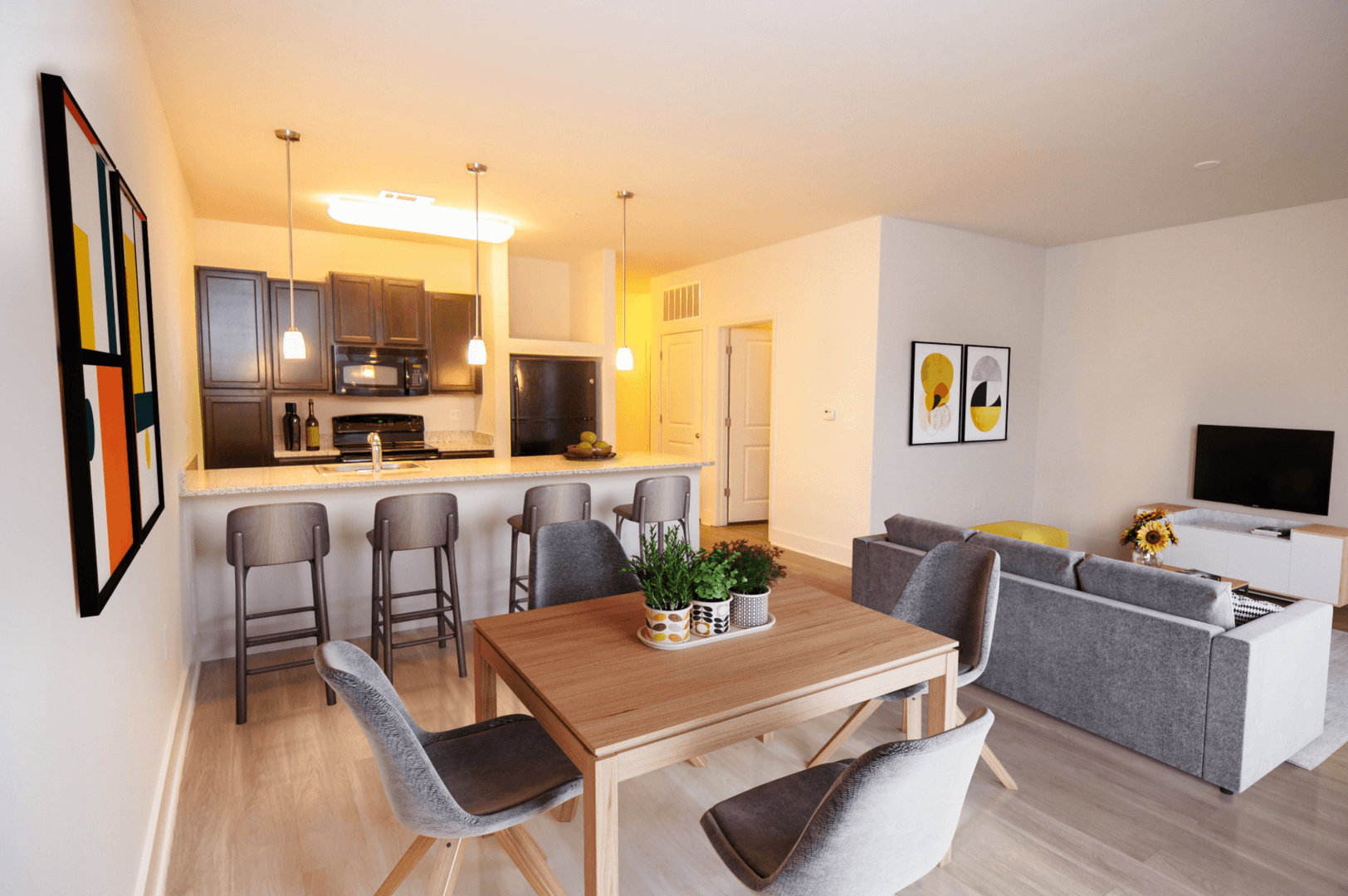 Memphis Apartment: 9 East Carolina Avenue