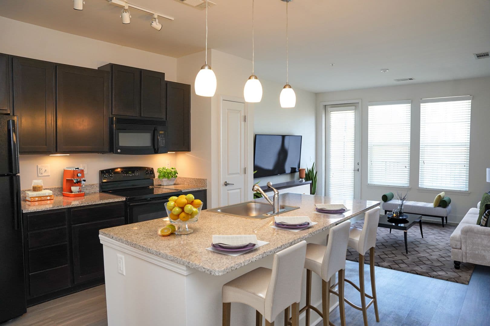 Memphis Apartment: 9 East Carolina Avenue