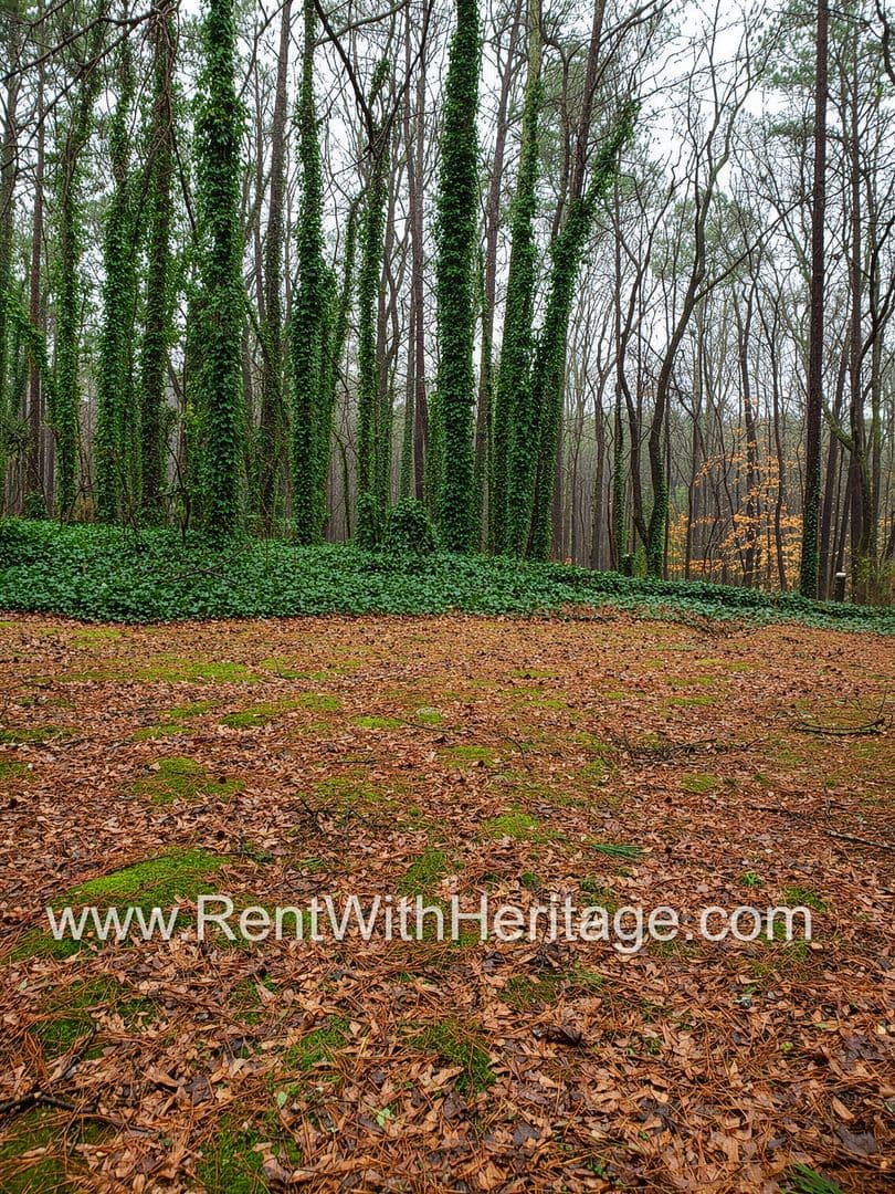 Lithia Springs House: 2120 Windy Oak Ct