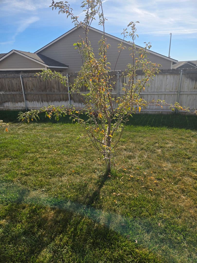 Hermiston House: 564 E Legacy Ave