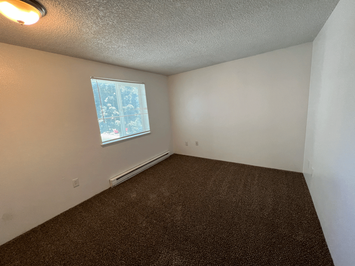 Umatilla Apartment: 605 Umatilla Ave