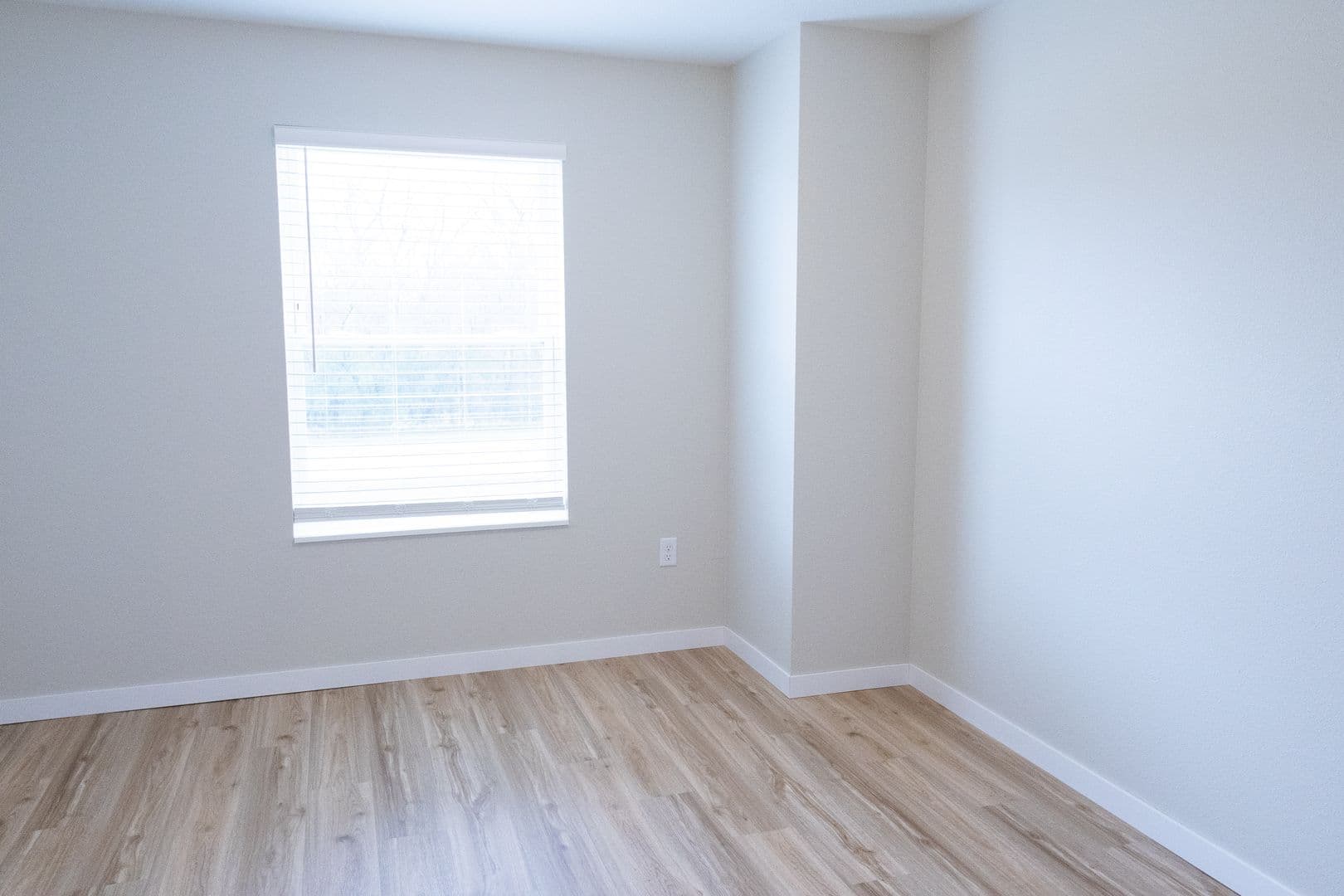 Morris Apartment: 506 Columbia Avenue