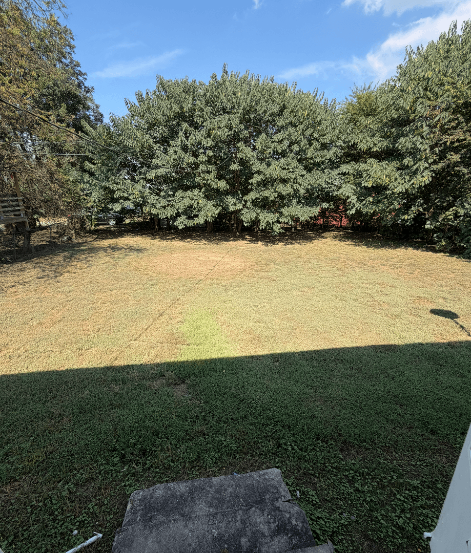 Tuscumbia House: 309 East 2nd Sreet