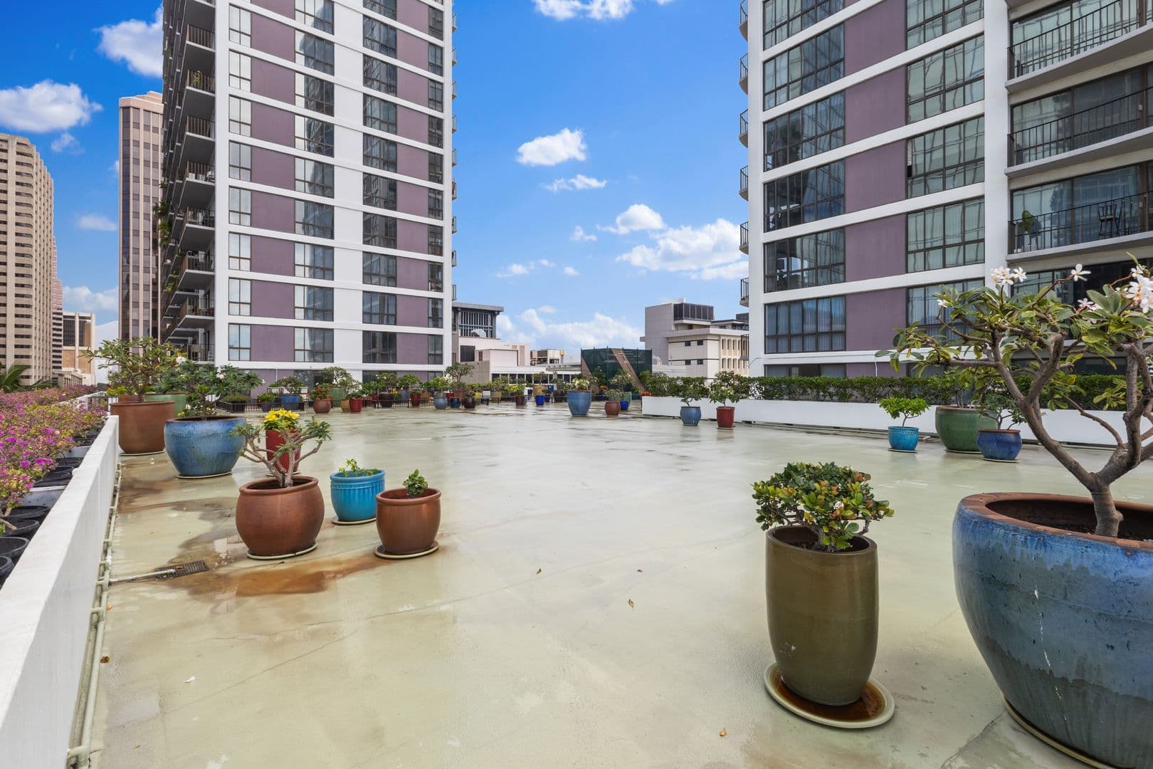 Honolulu Condo: 225 Queen Street