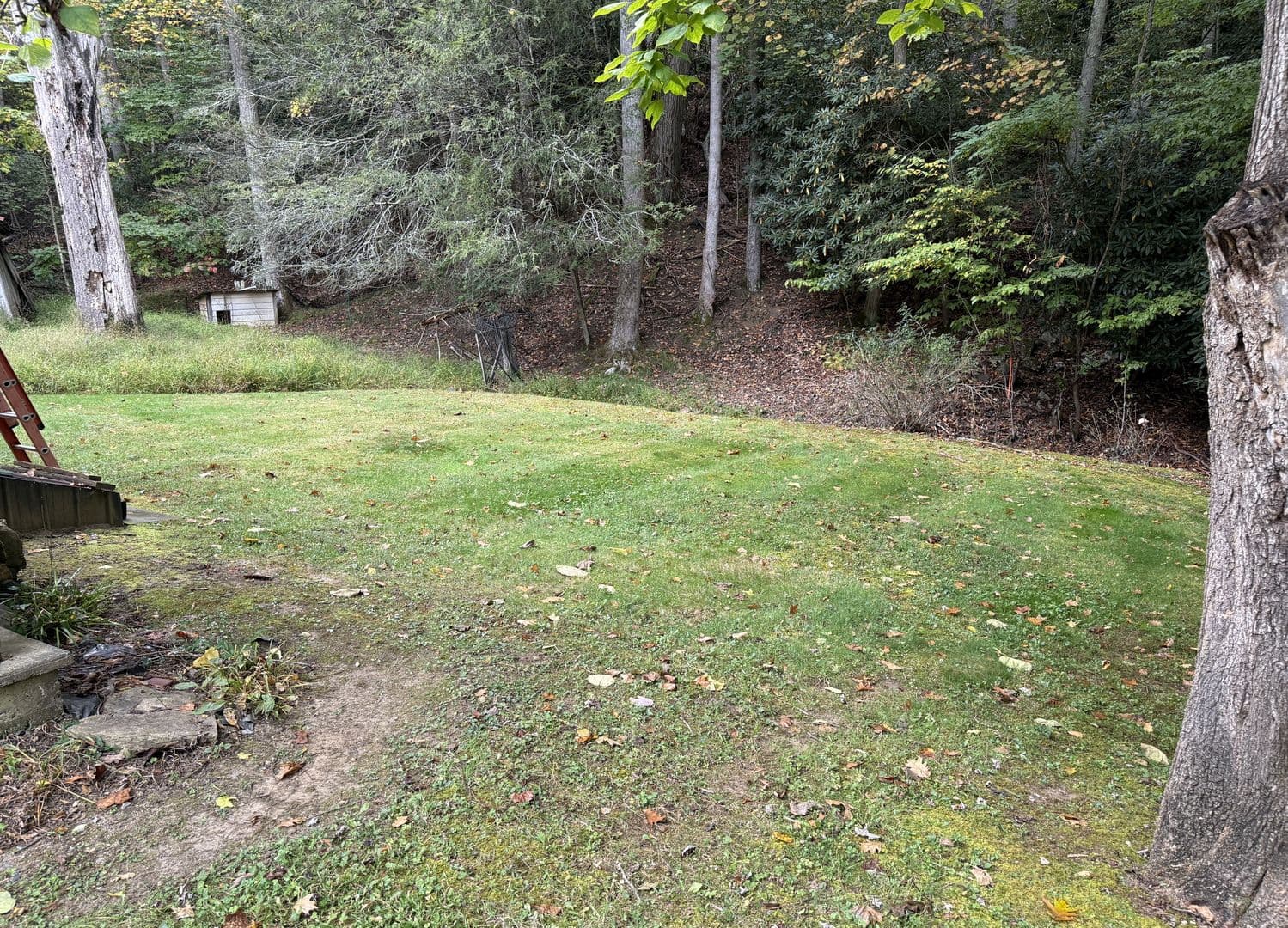 Elk Park House: 150 Smith Street
