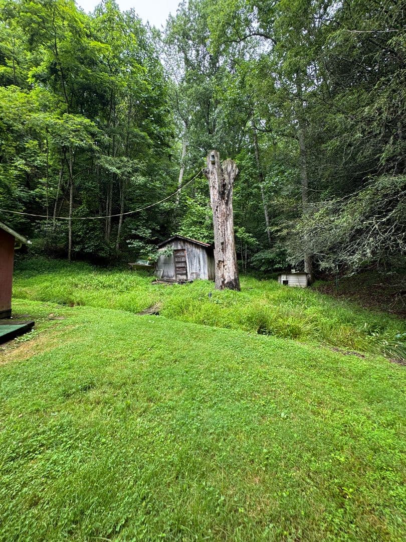 Elk Park House: 150 Smith Street