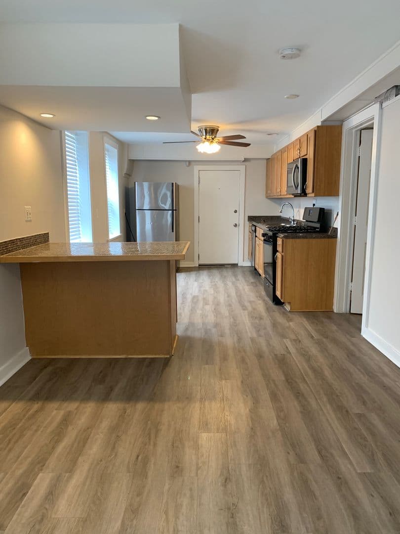 Chicago Apartment: 1700 W. 19th Street