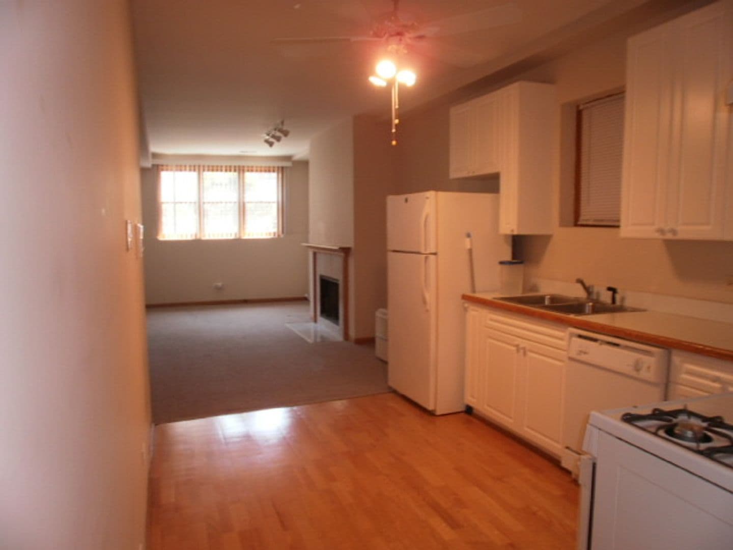Chicago Apartment: 1336 W. Huron