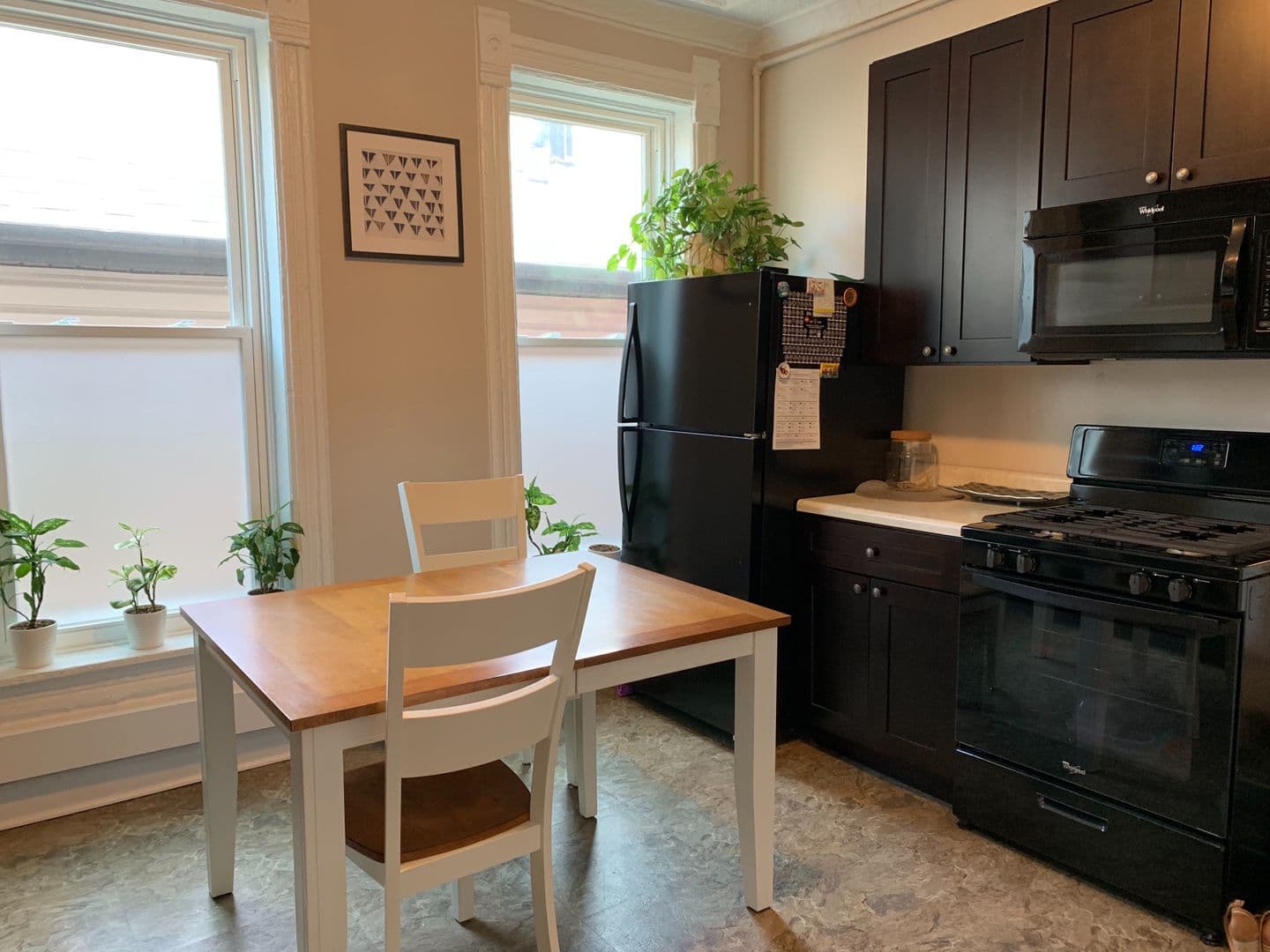Chicago Apartment: 1744 W. 18th Place