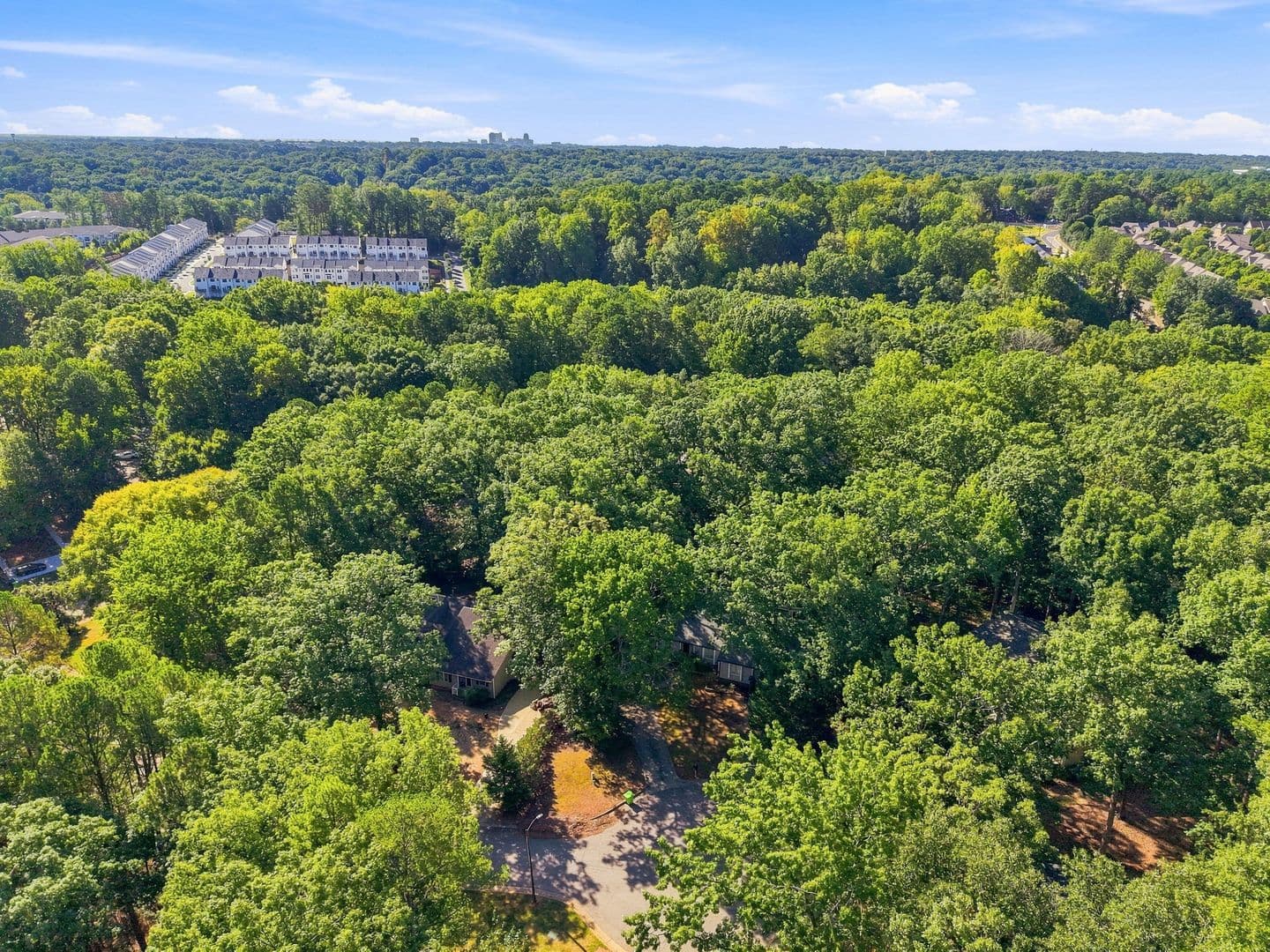 Raleigh House: 4011 Arckelton Dr.