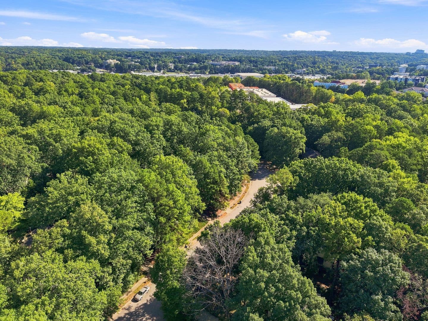 Raleigh House: 4011 Arckelton Dr.
