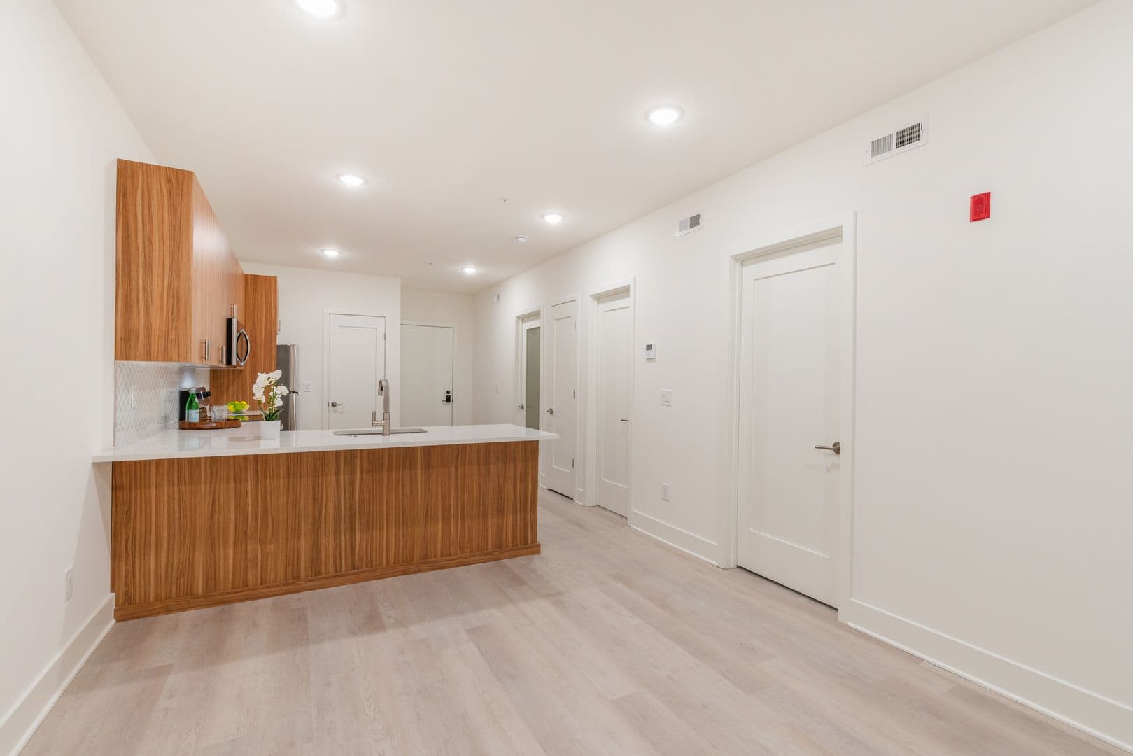 Philadelphia Apartment: 833 Wharton Street
