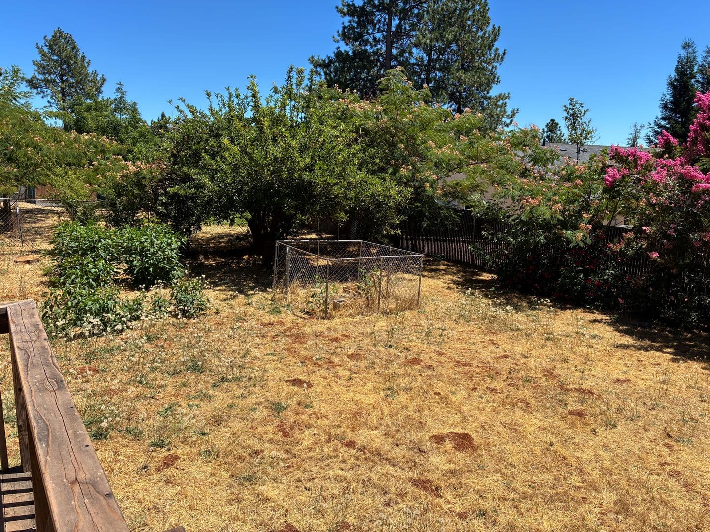 Paradise House: 1814 Merrill Rd