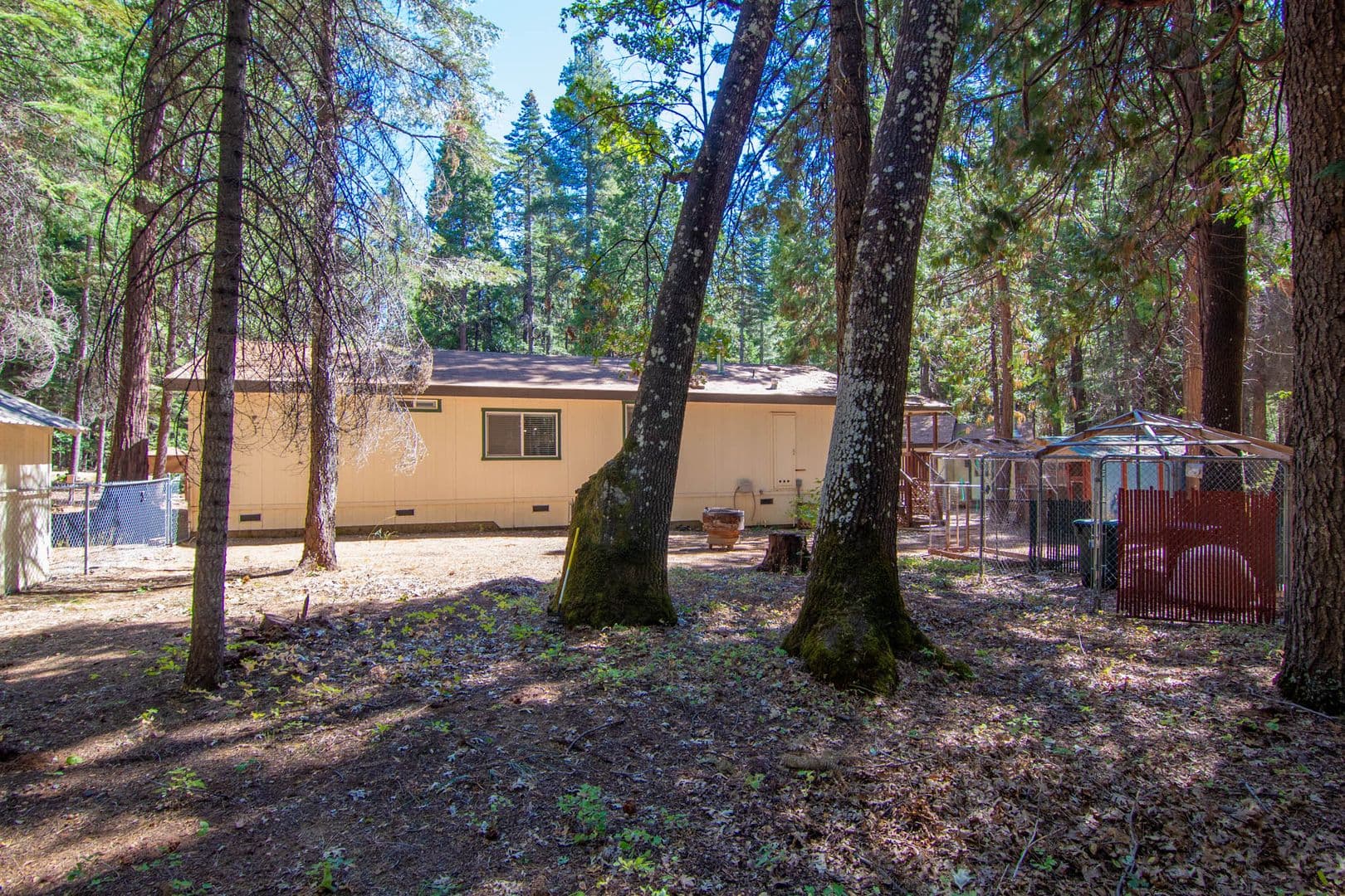 Shingletown House: 7528 Leaning Cedar Ln.