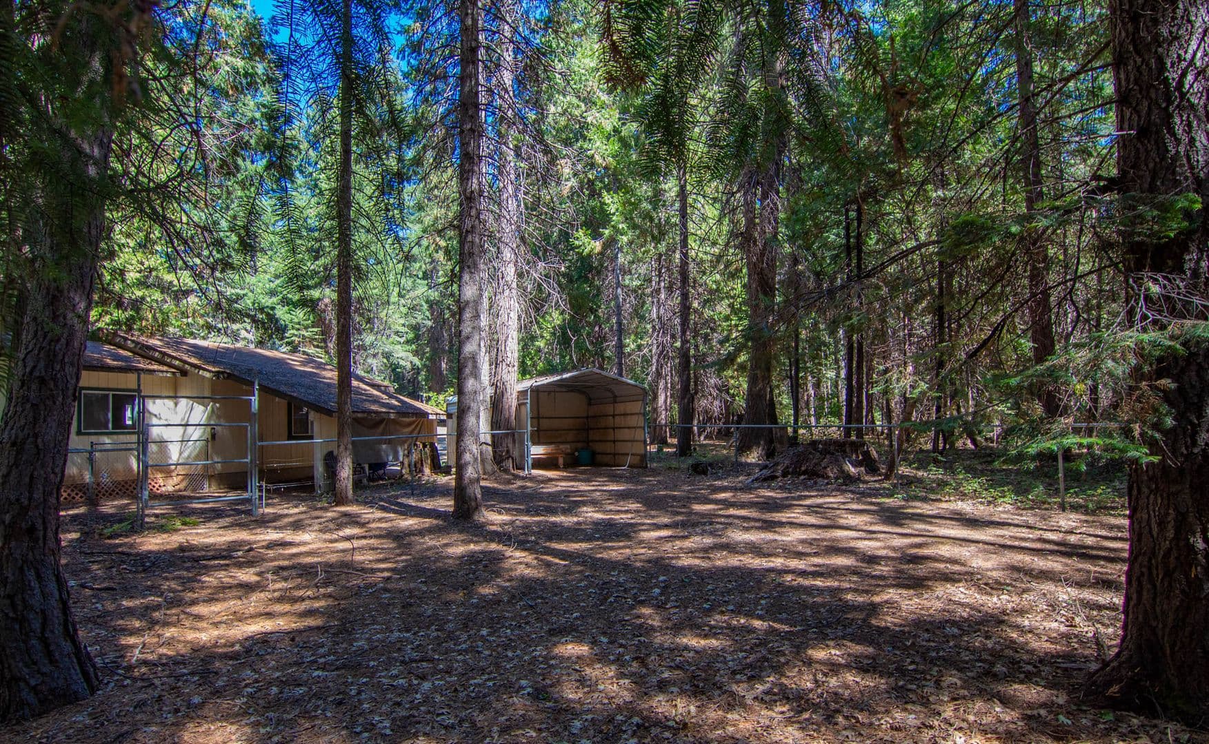 Shingletown House: 7528 Leaning Cedar Ln.
