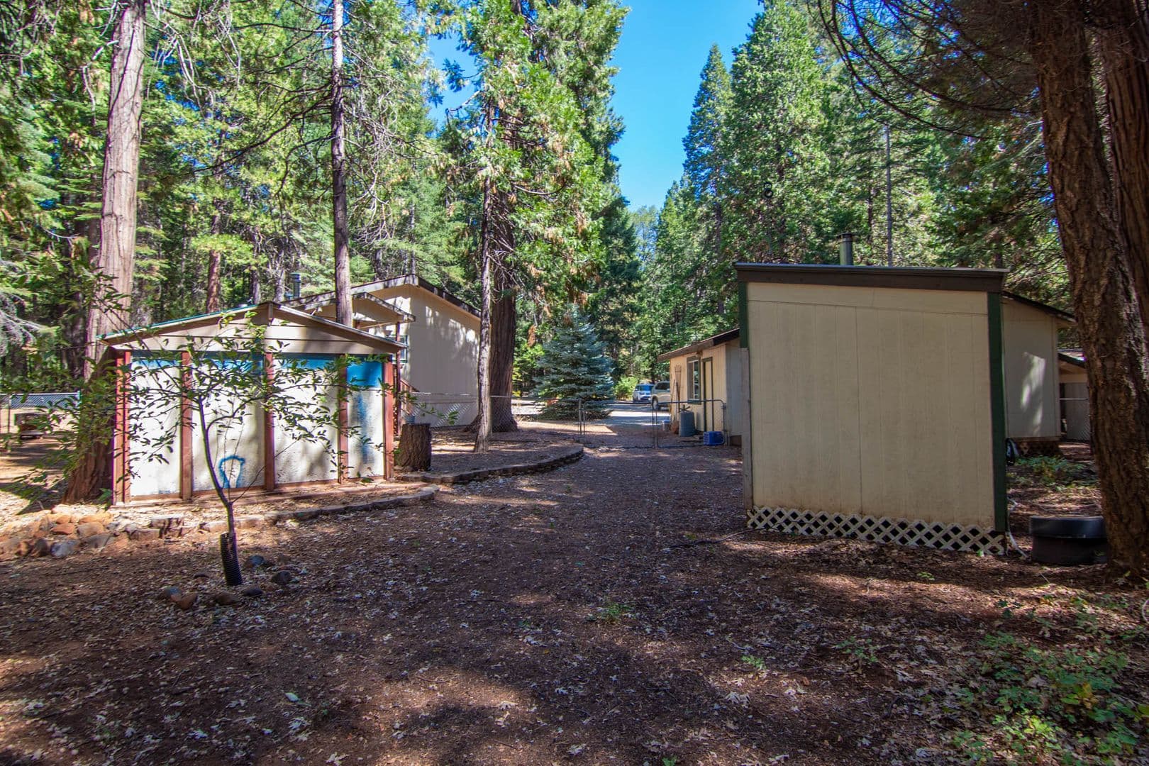 Shingletown House: 7528 Leaning Cedar Ln.