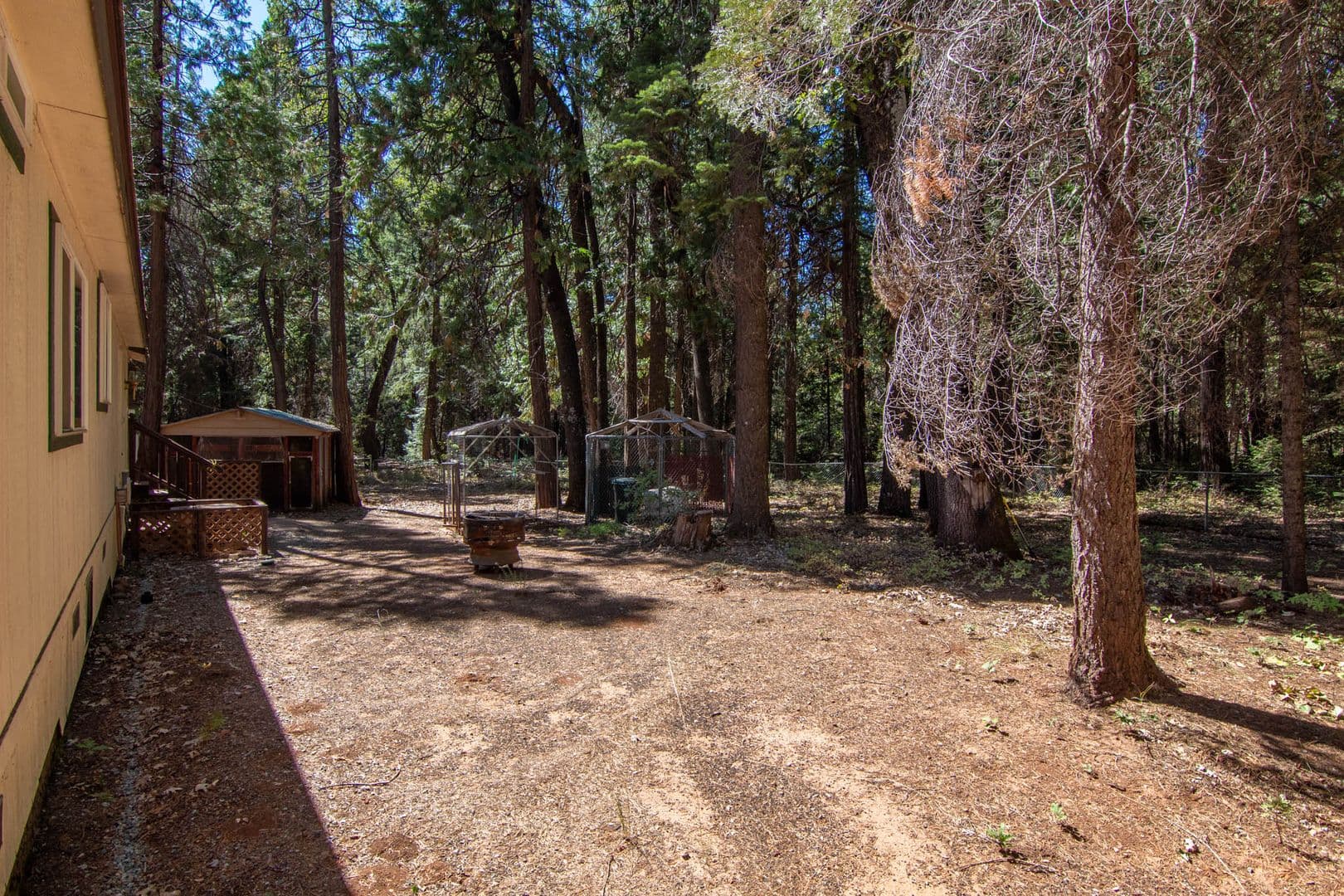 Shingletown House: 7528 Leaning Cedar Ln.