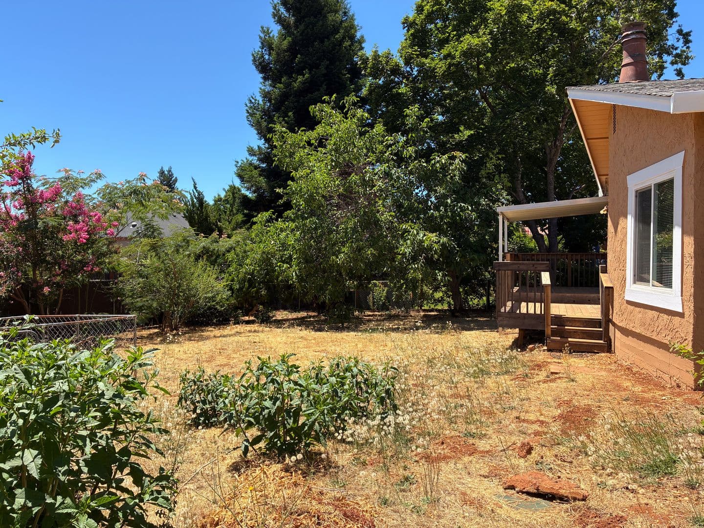 Paradise House: 1814 Merrill Rd