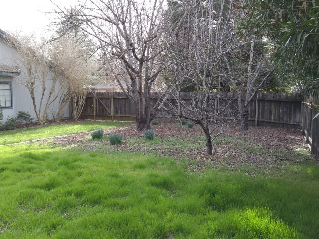 Redding House: 6827 Creekside St.