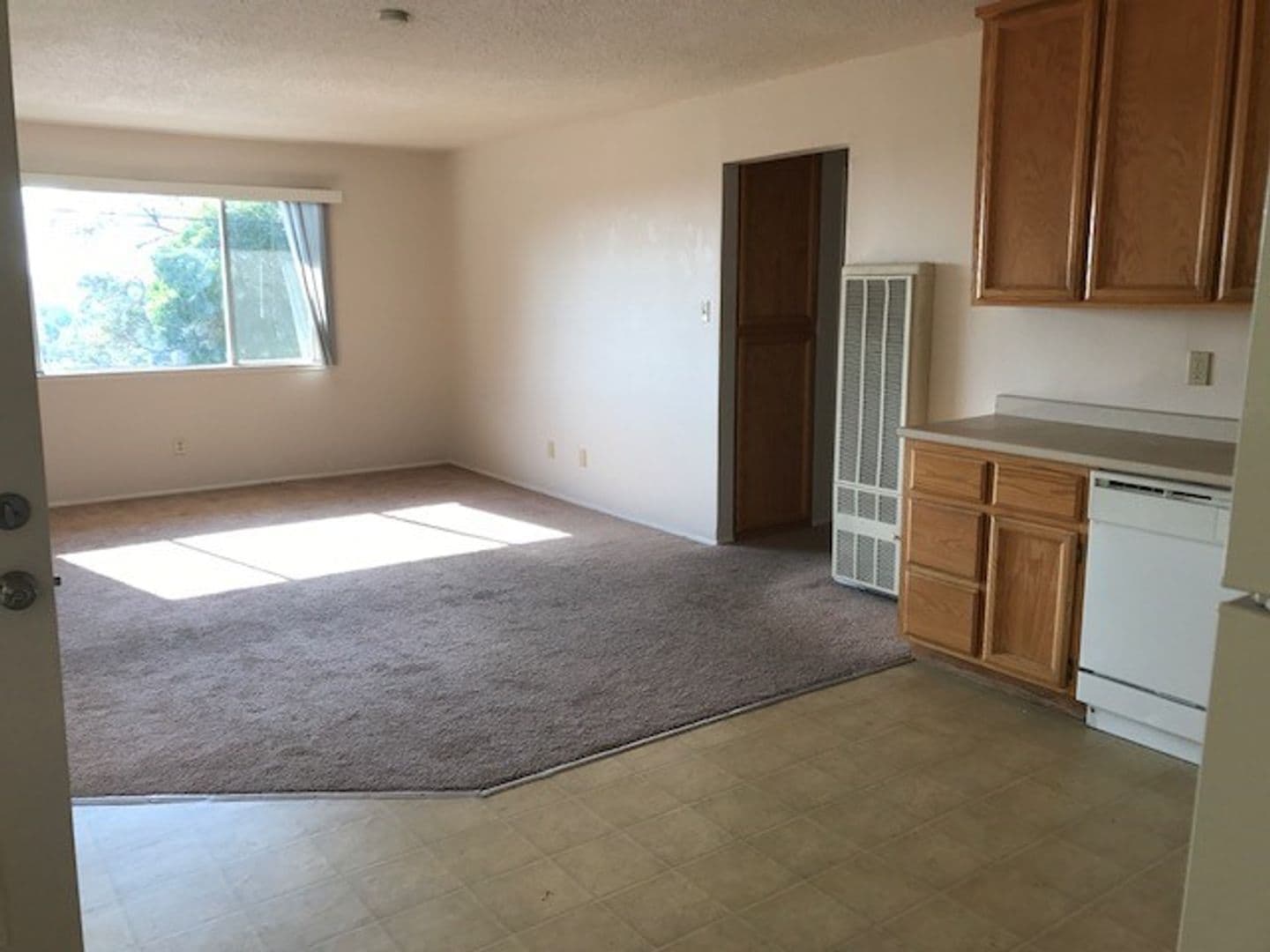 Auburn Apartment: 203-205-207 E. Electric Street