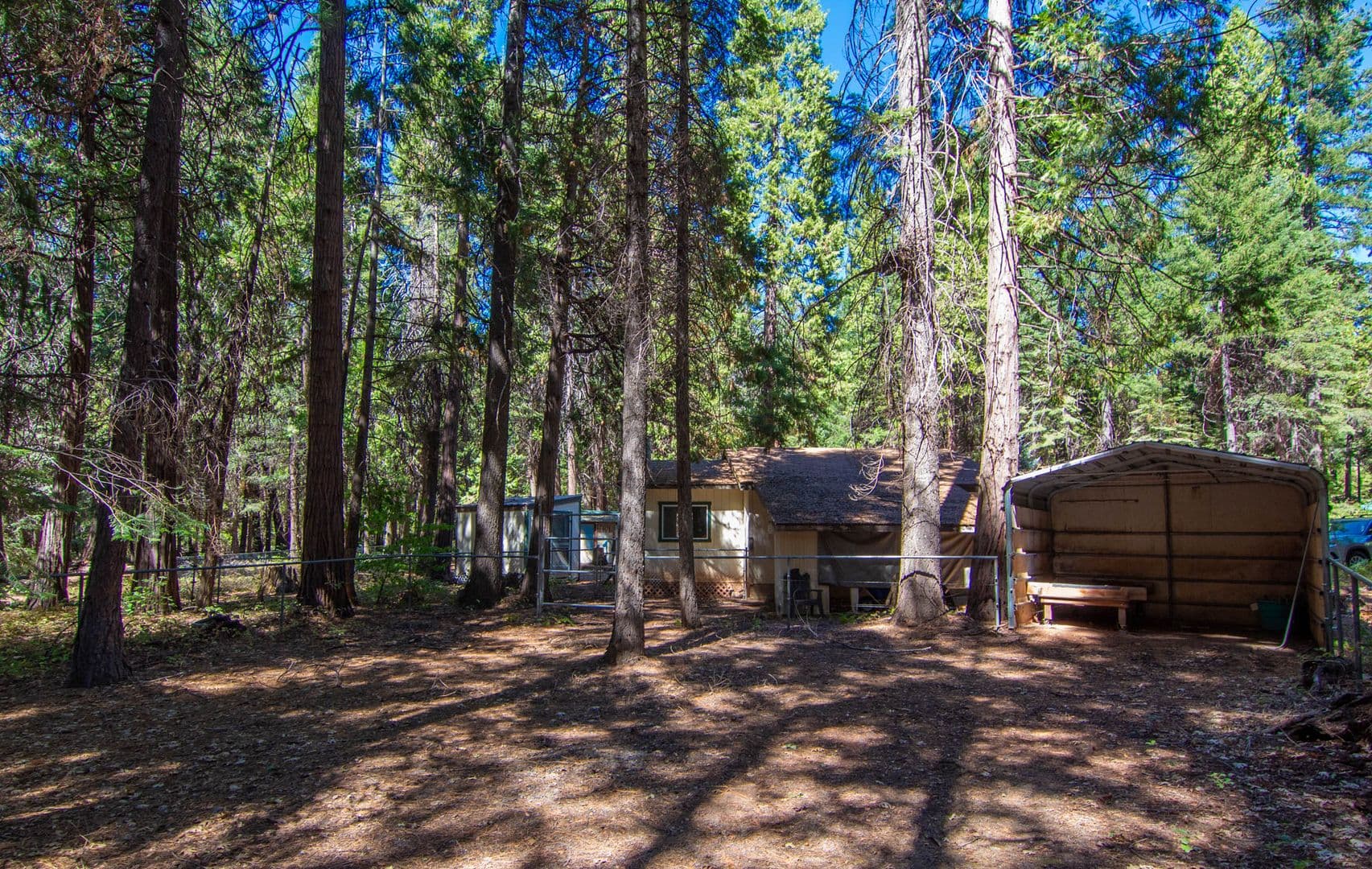 Shingletown House: 7528 Leaning Cedar Ln.
