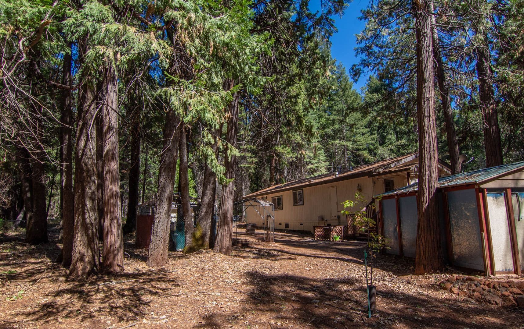 Shingletown House: 7528 Leaning Cedar Ln.