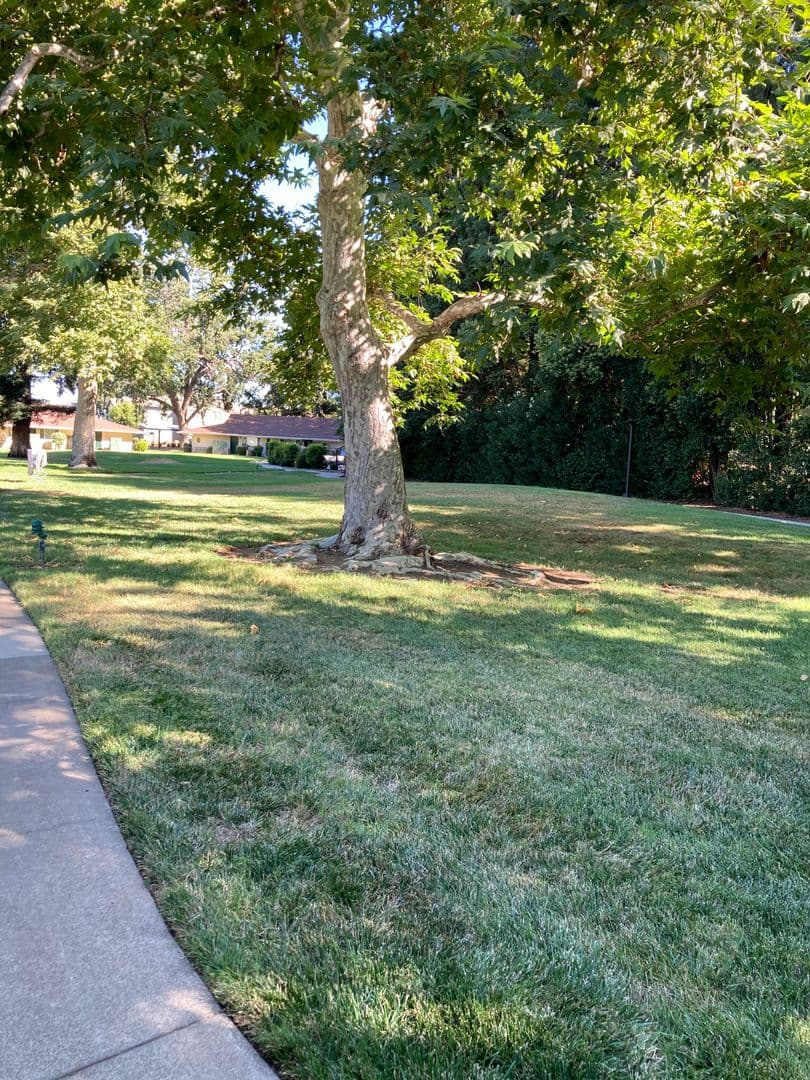 Chico Apartment: 1080 E. Lassen Avenue