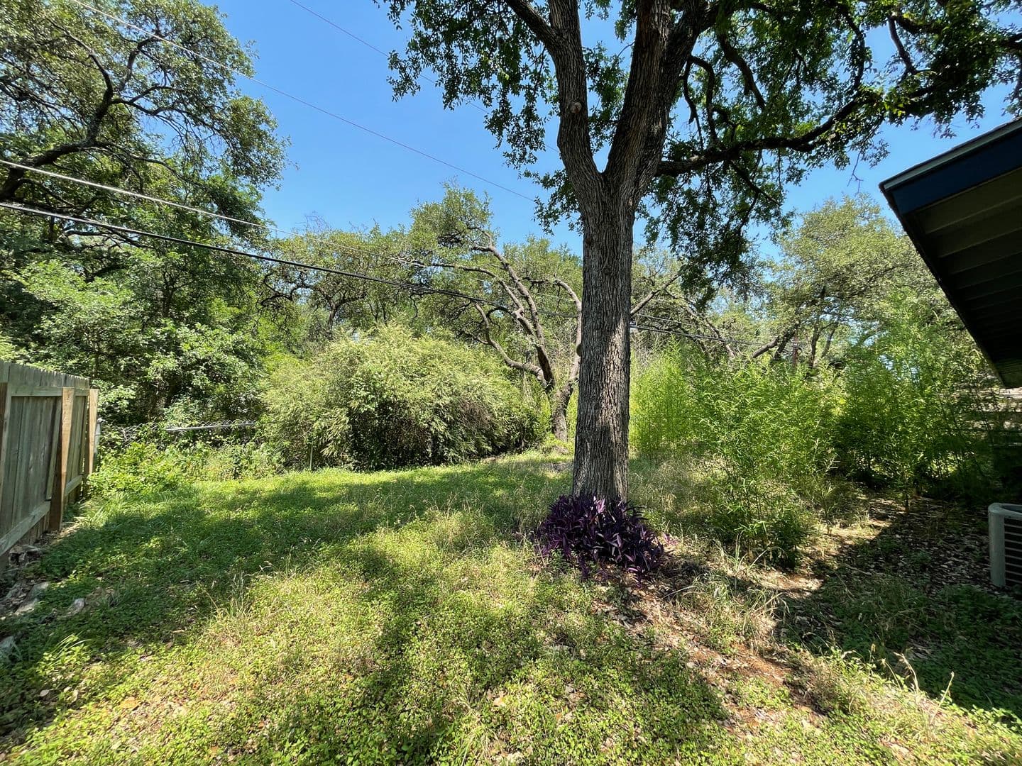 Austin Apartment: 914 Beaver Trail