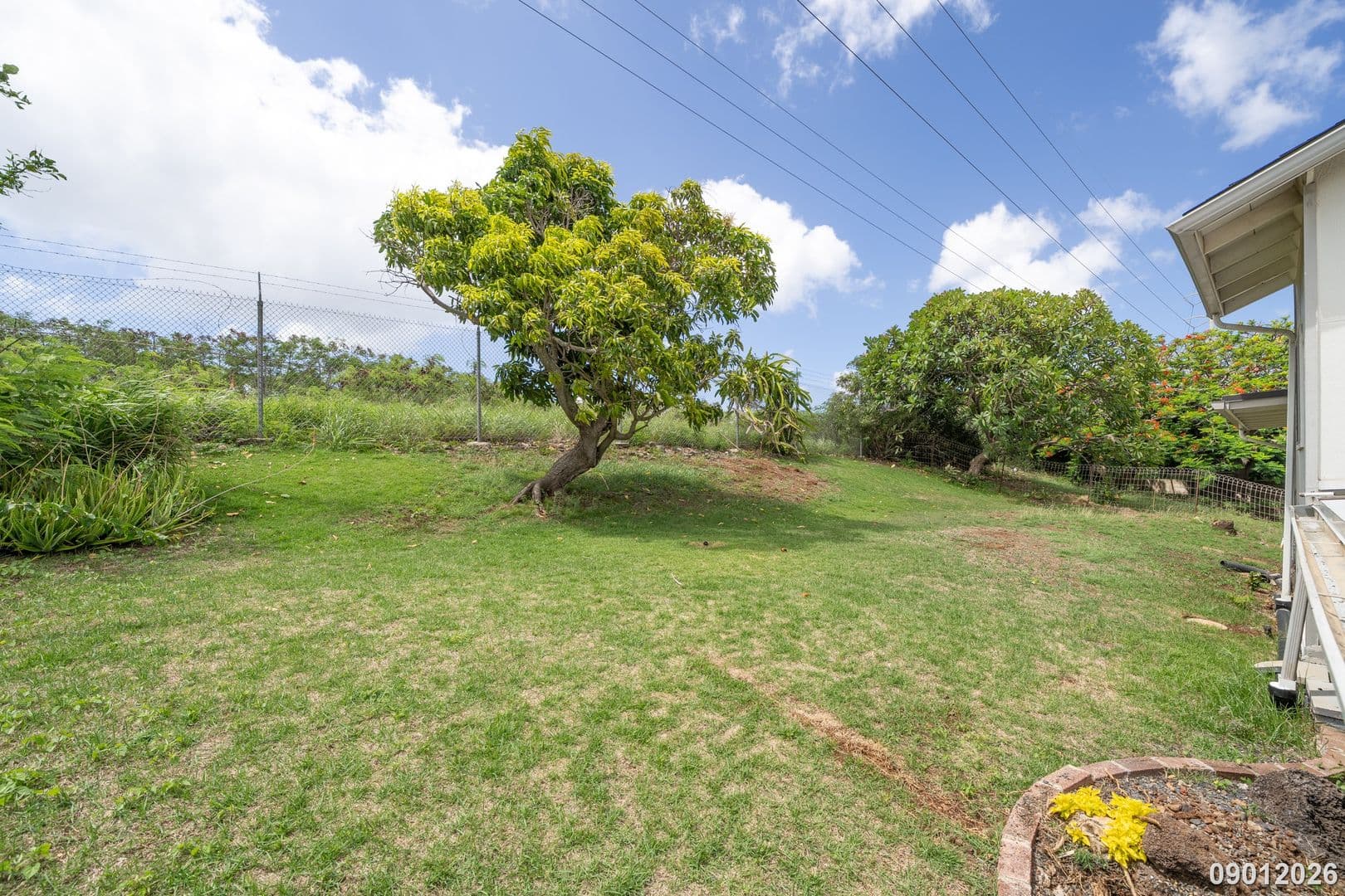 Honolulu House: 4211 Halupa St.
