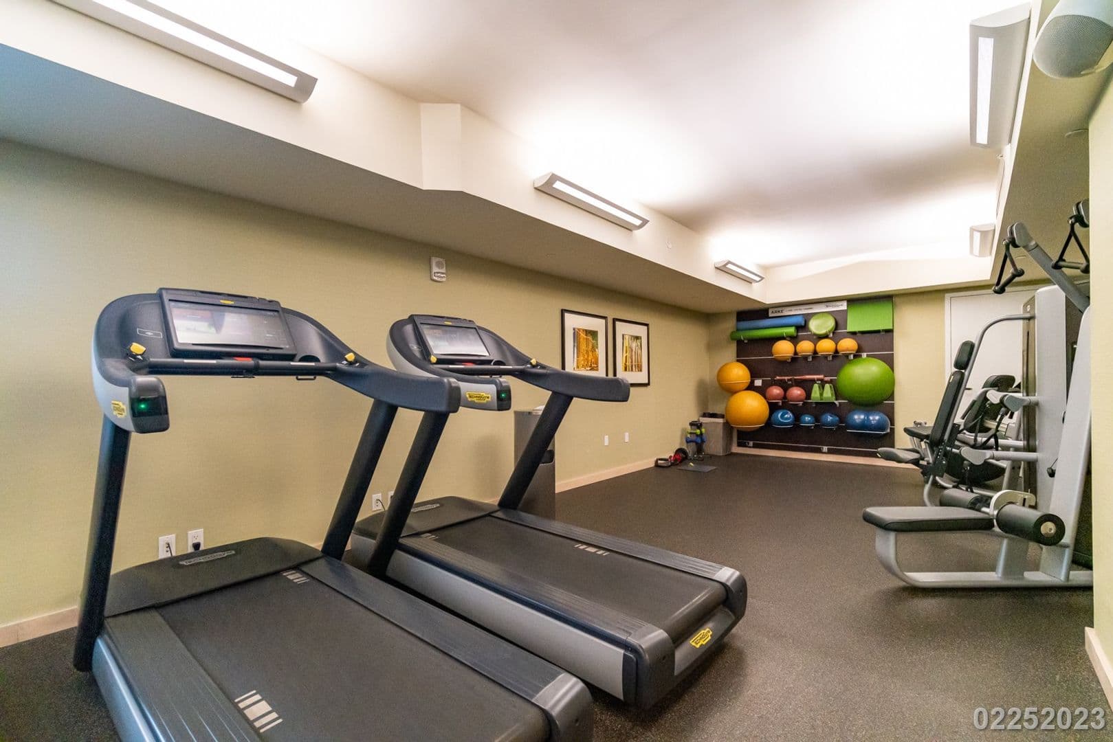 Honolulu Condo: 223 Saratoga Rd #918
