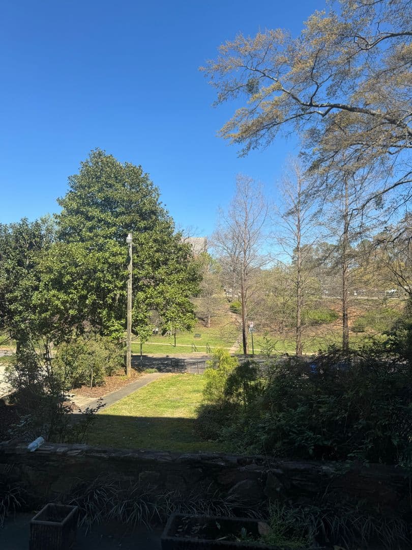Birmingham Apartment: 1127 30th Street South