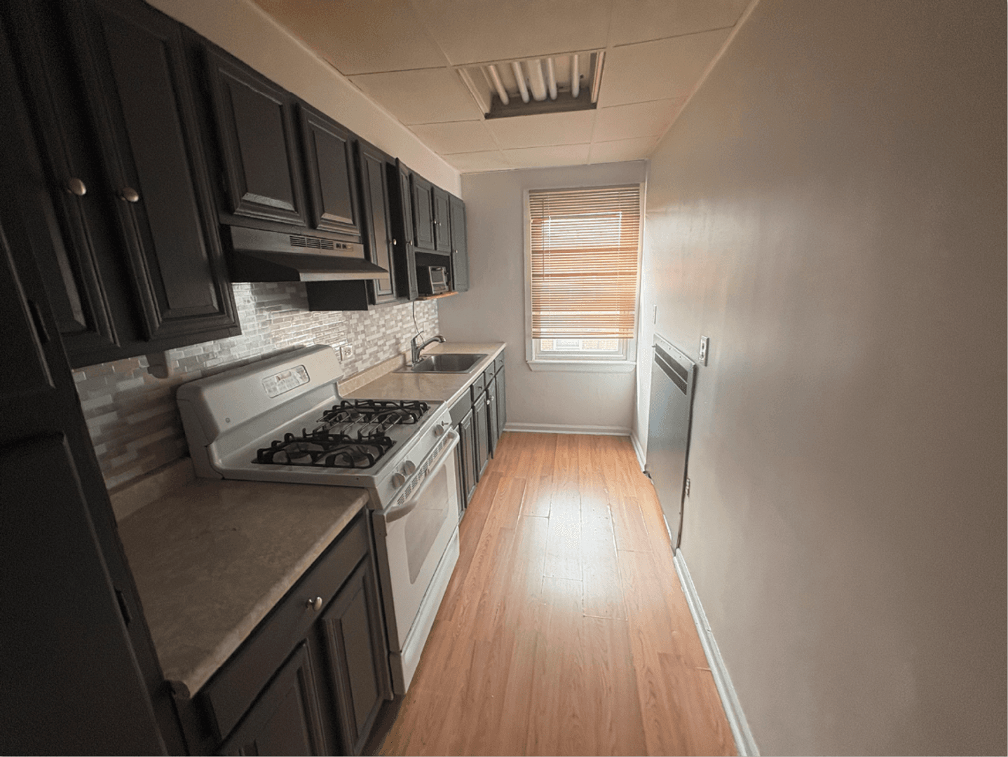 Philadelphia Apartment: 1500 Lardner St.