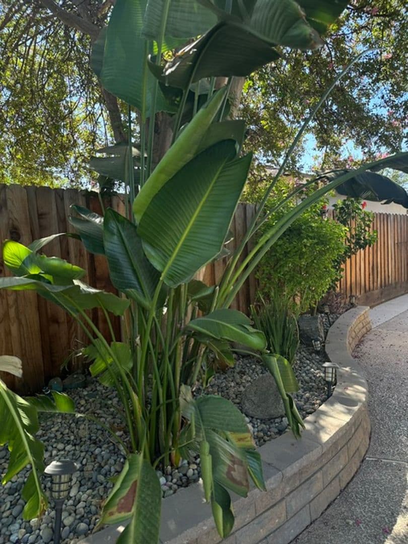 Fresno House: 5763 E Tarpey Dr