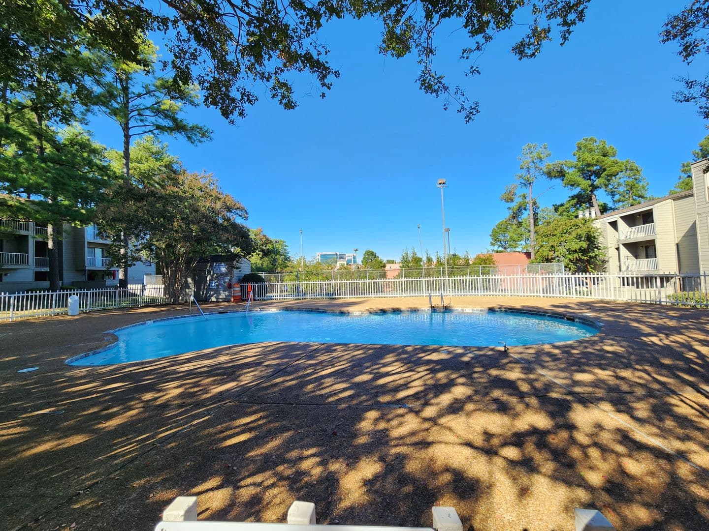 Memphis Apartment: 1867 Poplar Pines Dr
