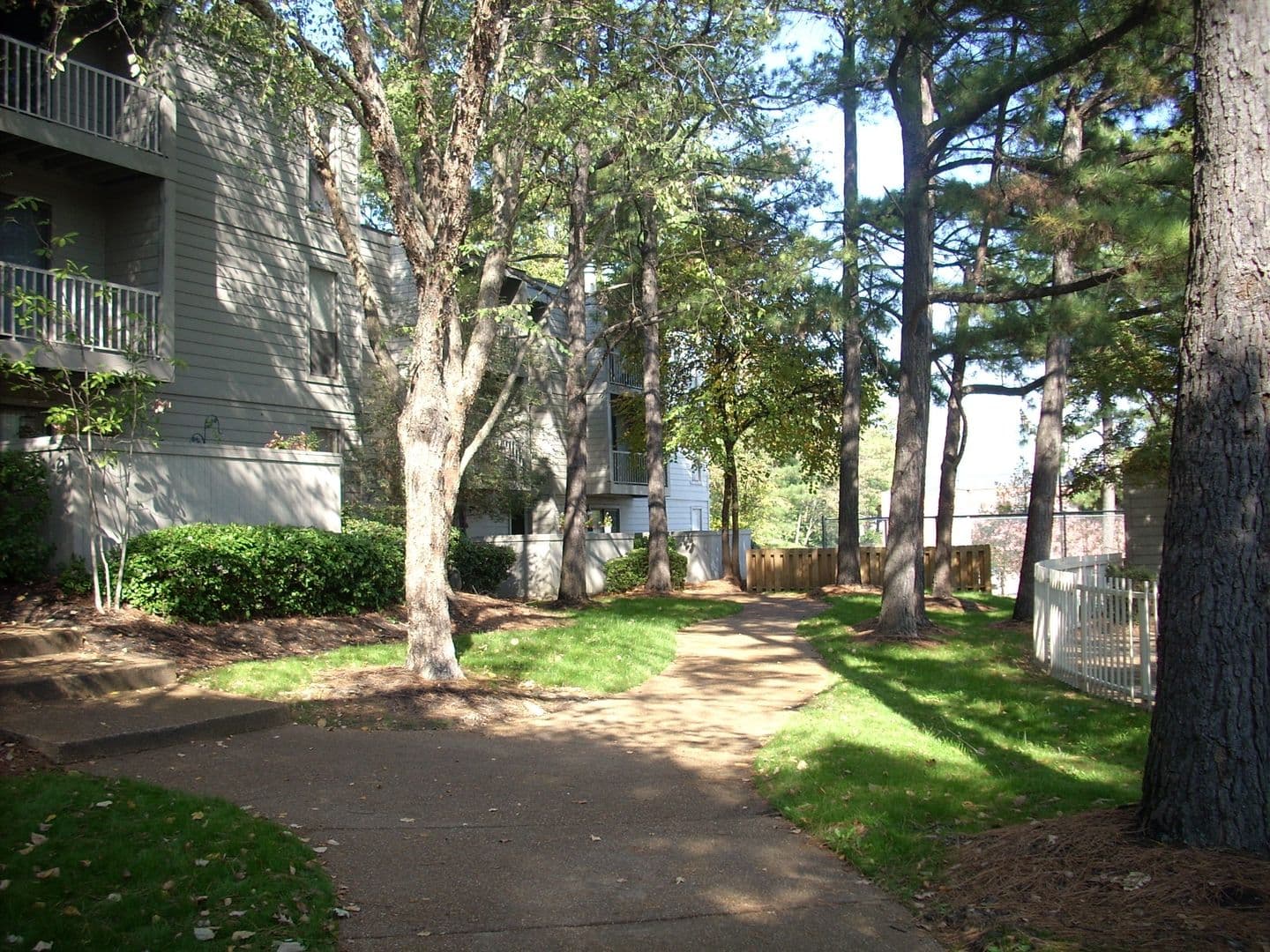 Memphis Apartment: 1867 Poplar Pines Dr
