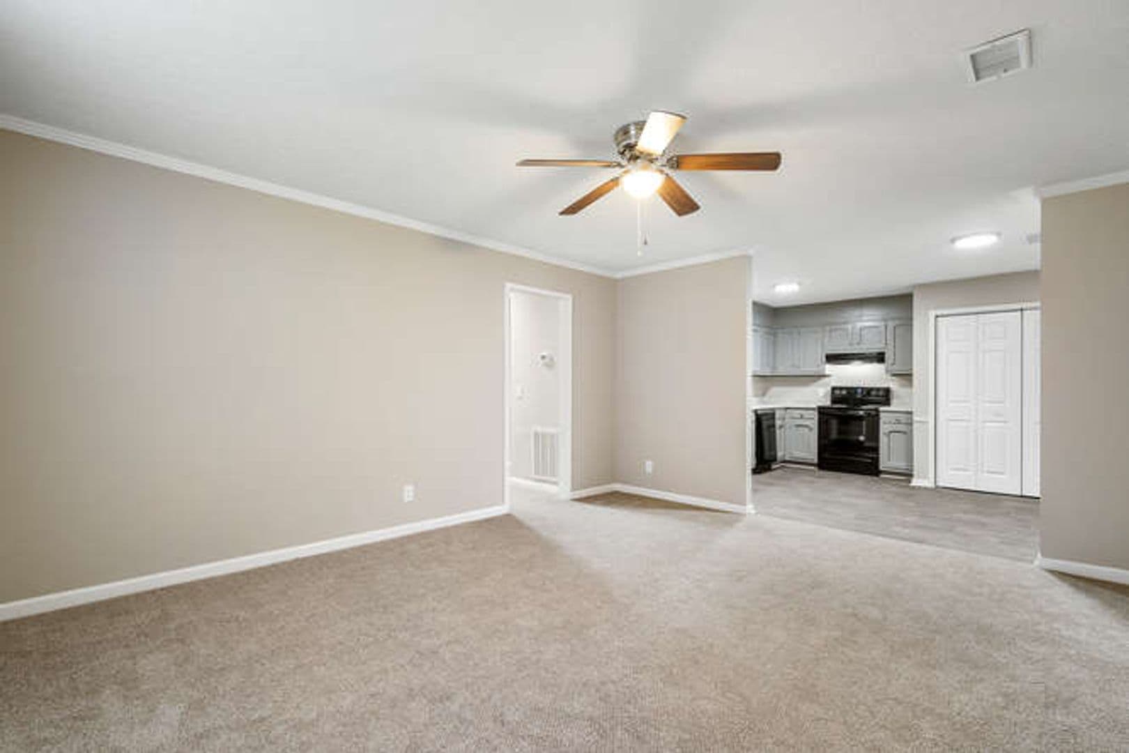 Carrollton Apartment: 201 Hays Mill Road