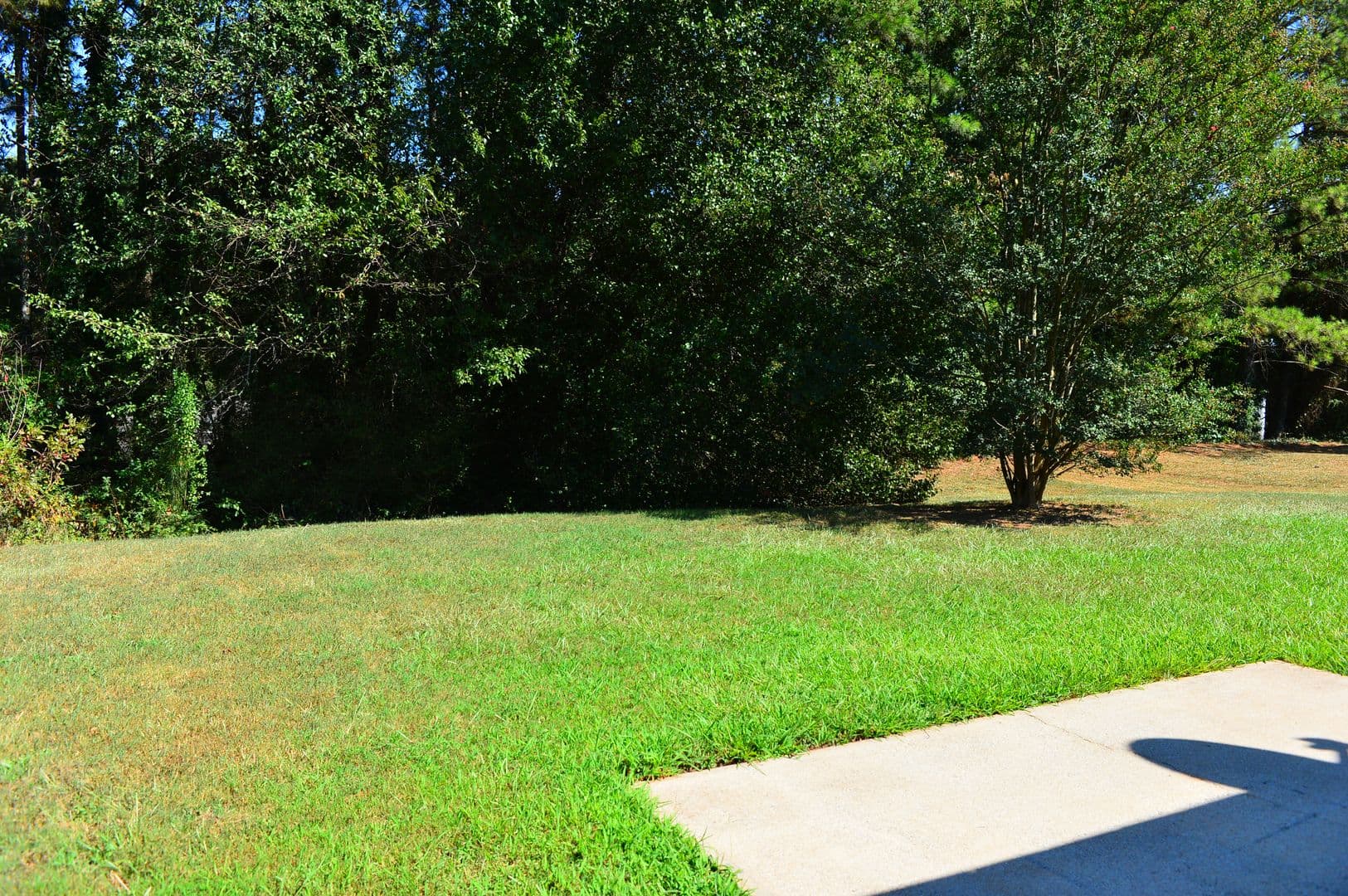 Ellenwood House: 4256 Viewpoint LN.