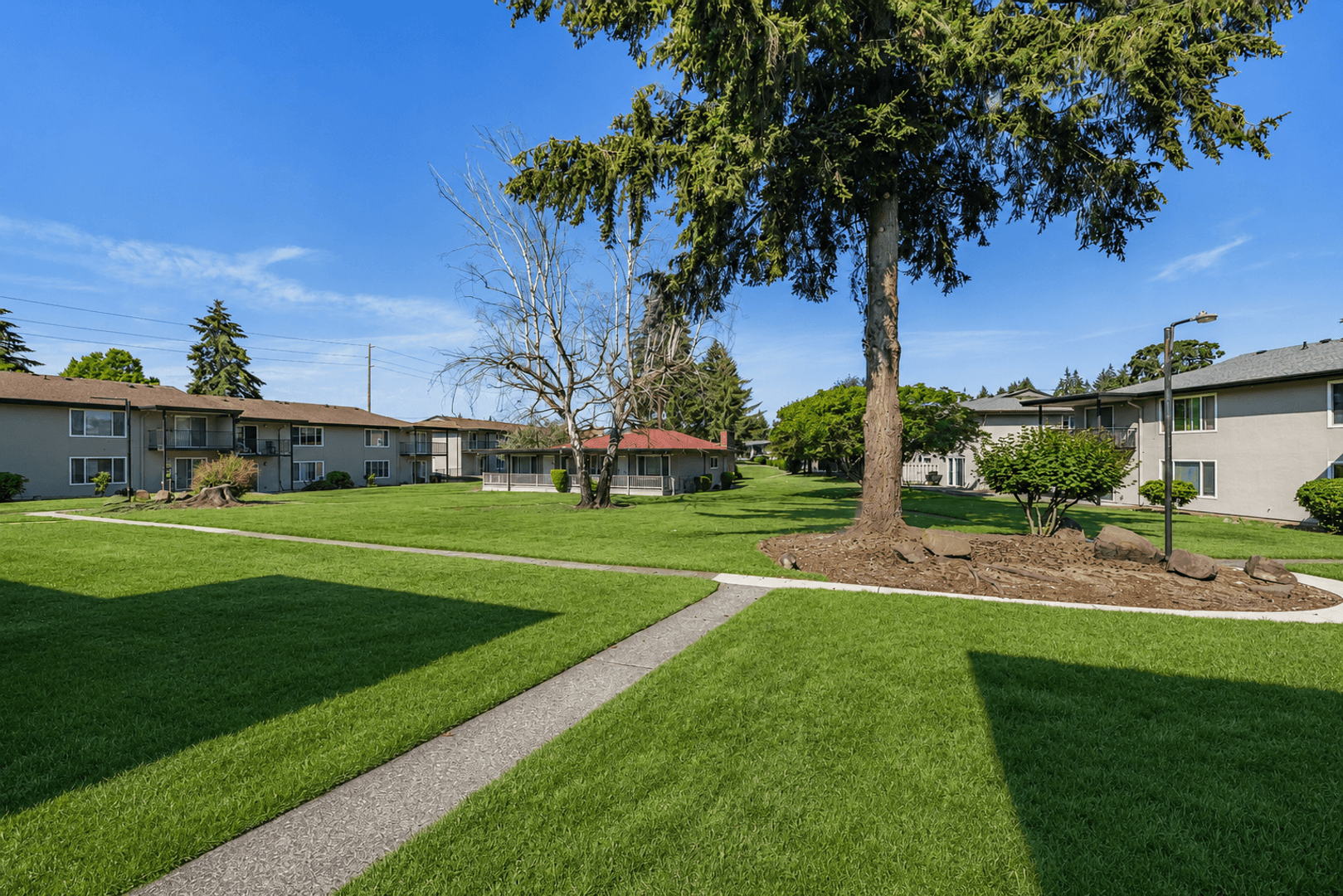 Tacoma Apartment: 9318 S Steele #7
