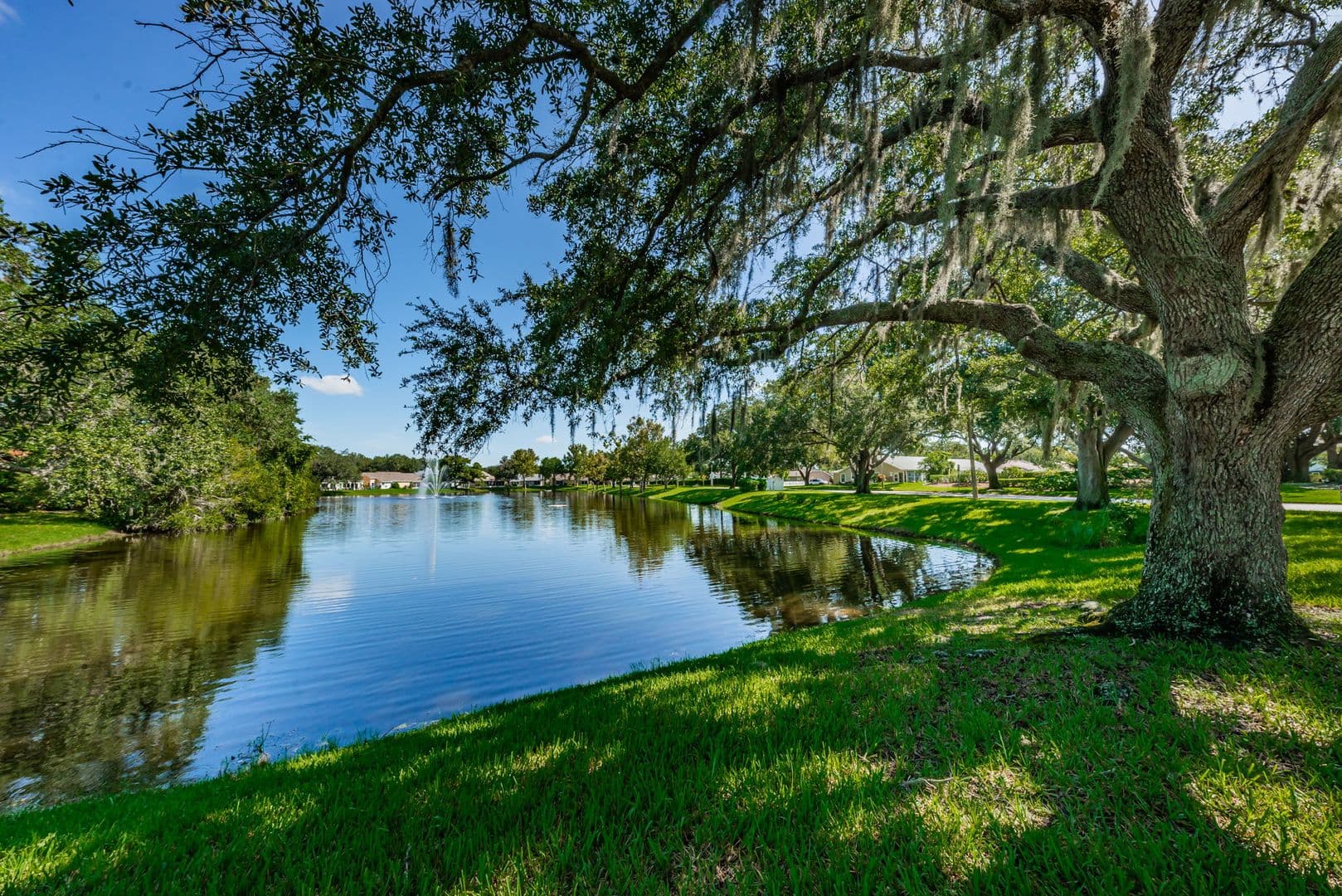 New Port Richey House: 4449 Foxboro Dr