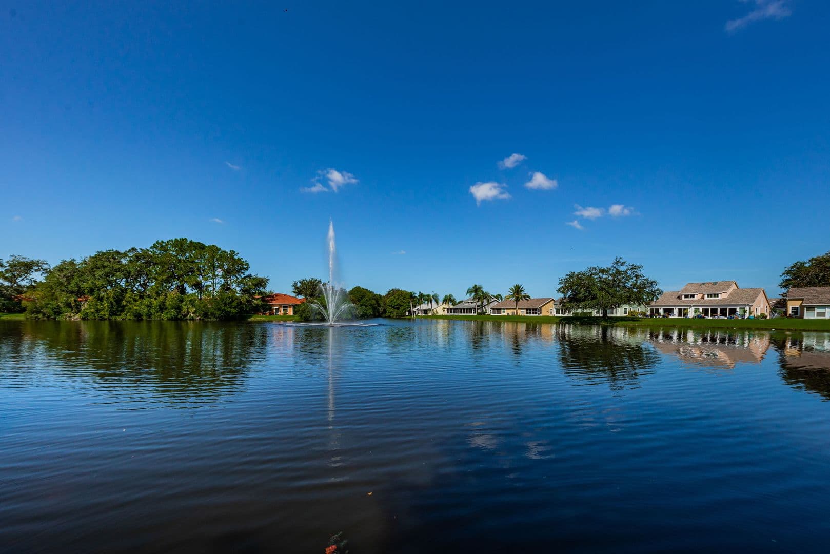 New Port Richey House: 4449 Foxboro Dr