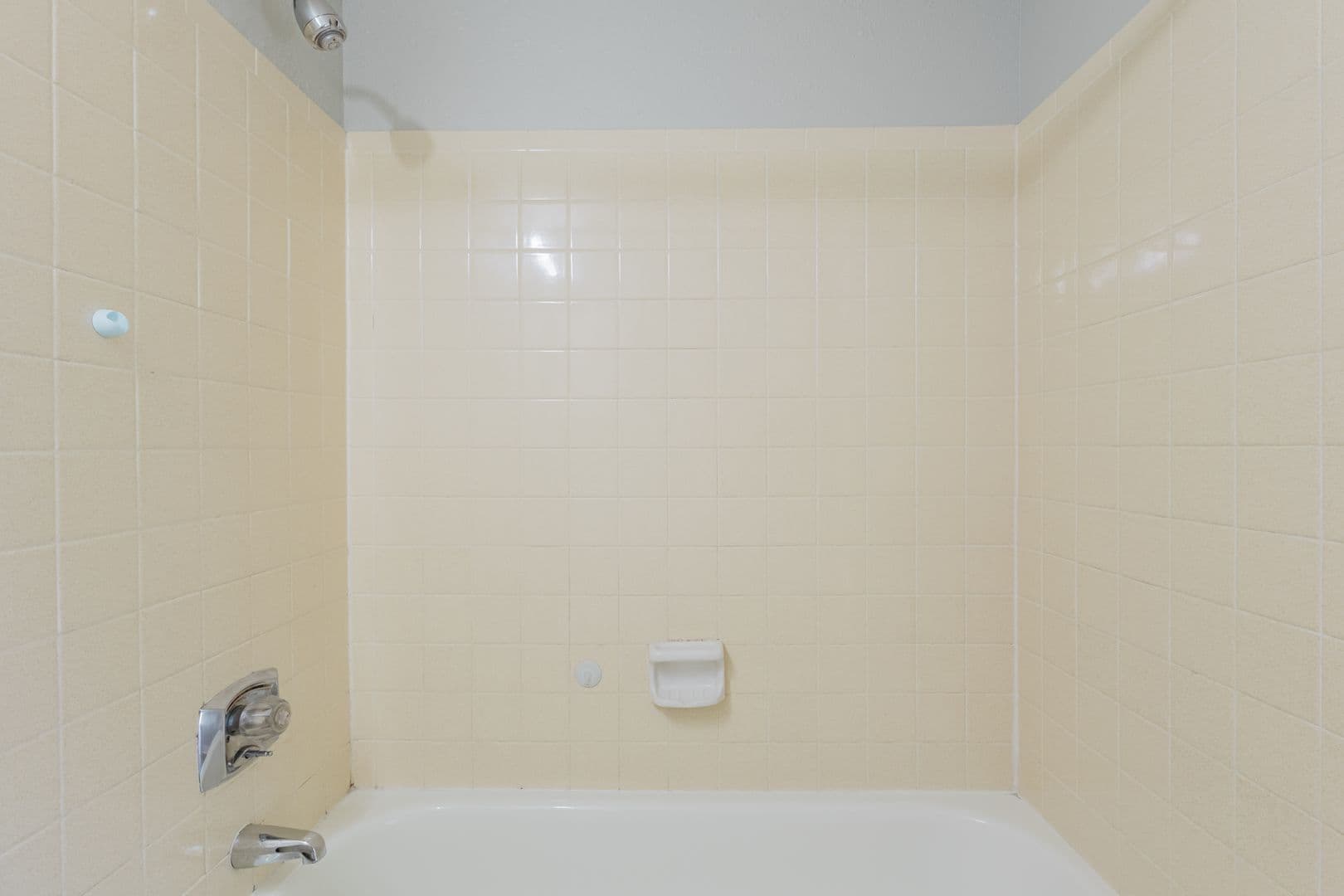 Aurora Condo: 932 S Dearborn Way