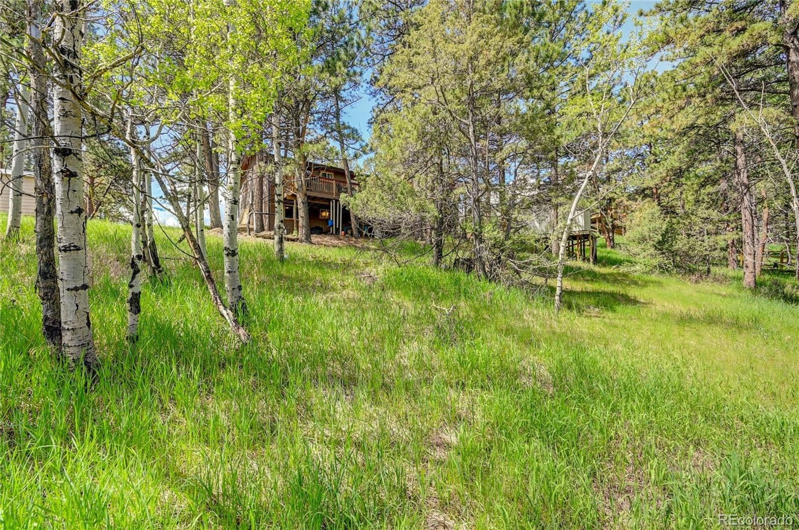 Bailey House: 2027 Roland Dr