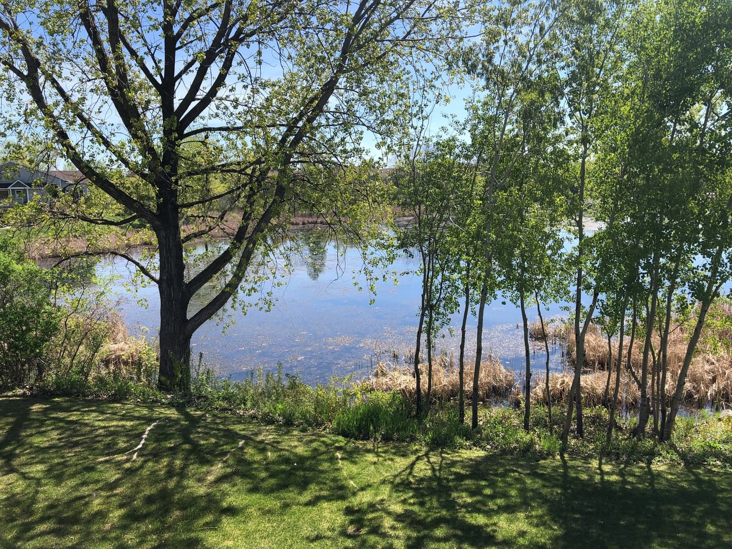 Little Canada Apartment: 180 - 210 County Road B2 E