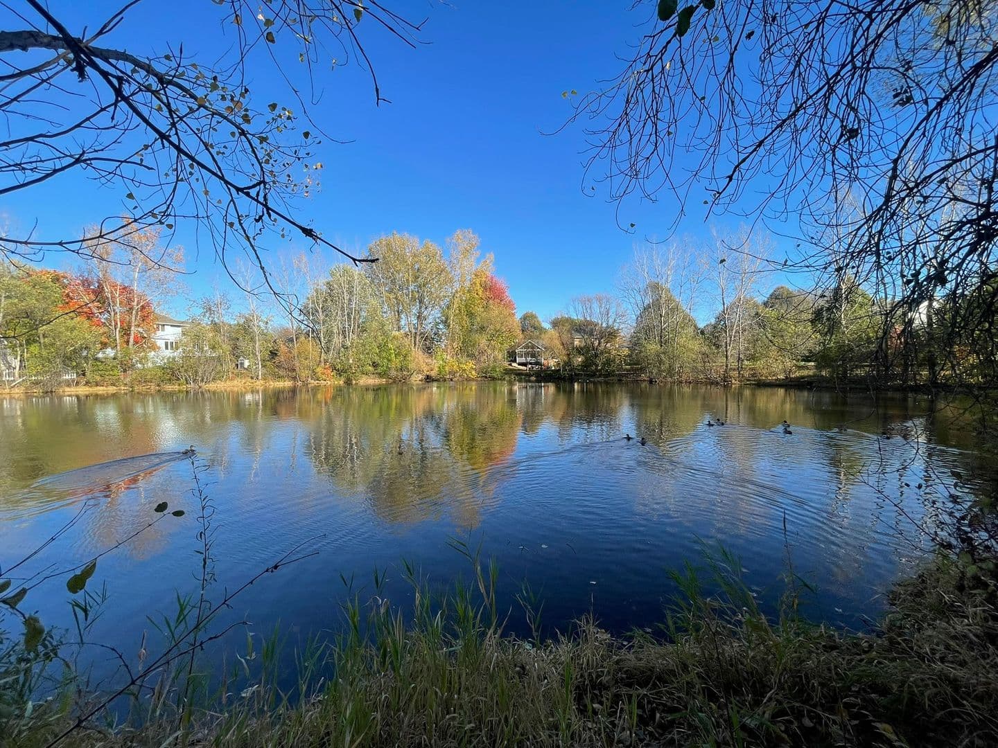 Woodbury House: 10066 Fox Run Cove