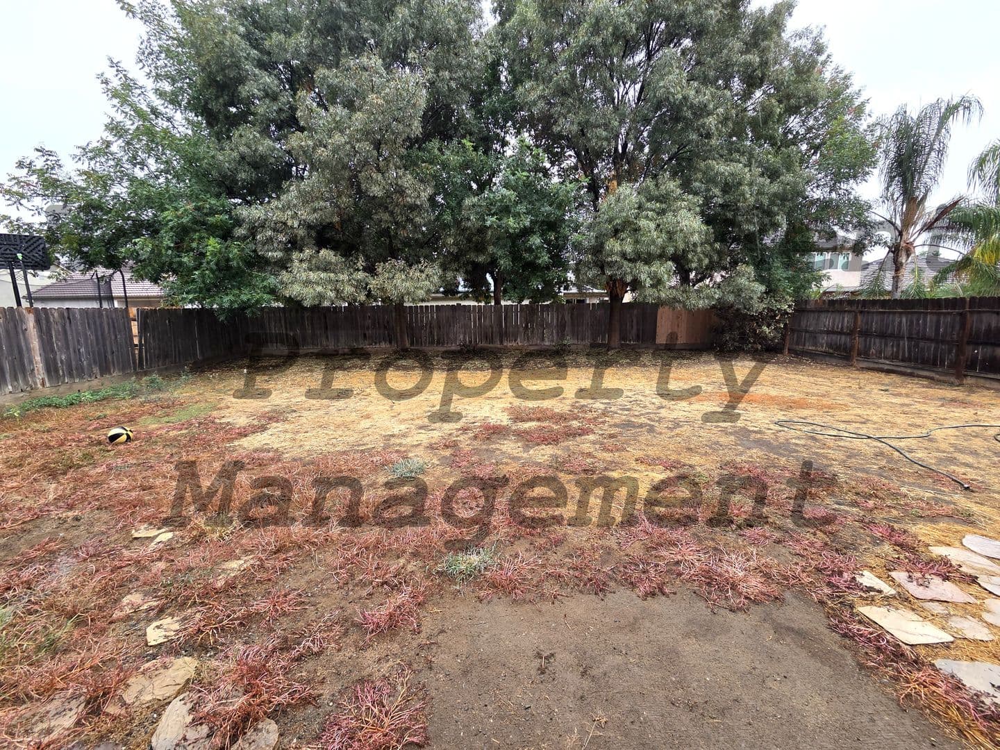 Fresno House: 6053 E. Cortland Ave