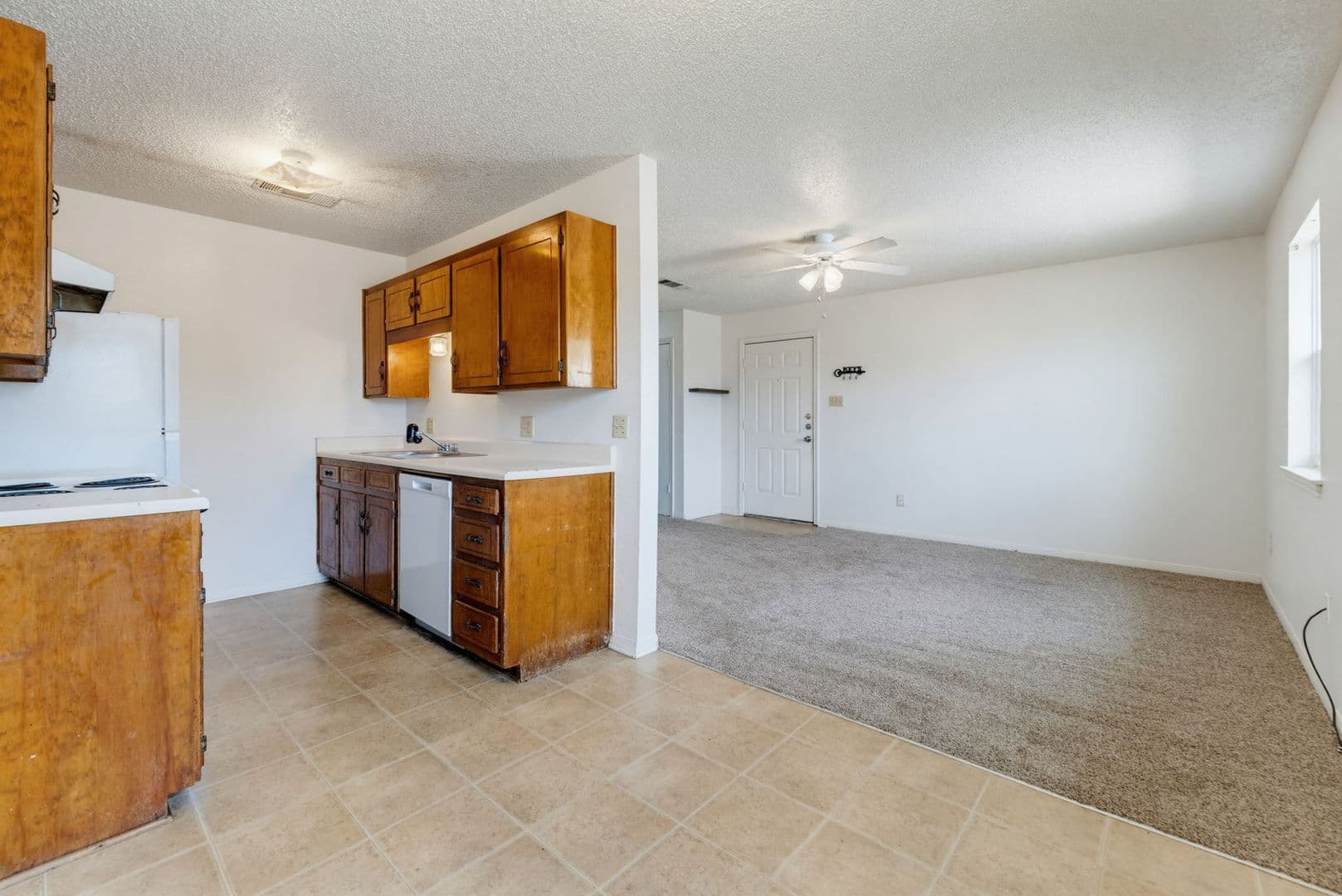 Copperas Cove Apartment: 203 Sorrell Dr.