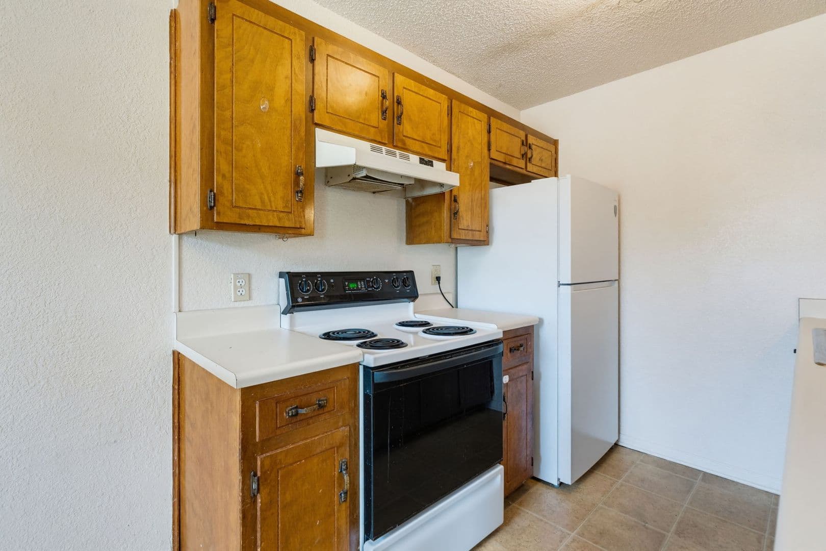 Copperas Cove Apartment: 203 Sorrell Dr.