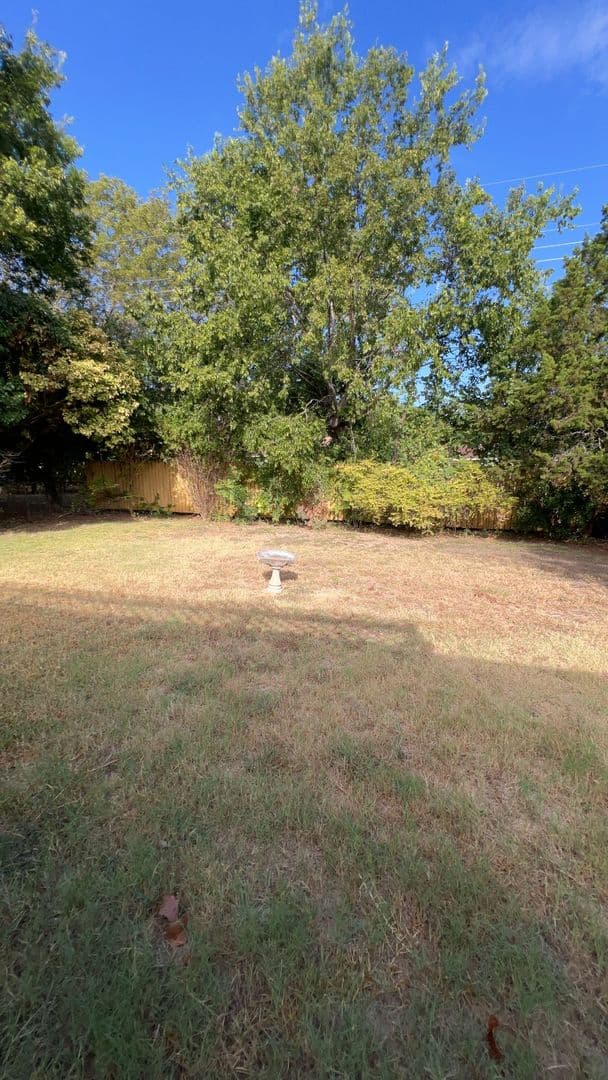 Copperas Cove House: 116 Carothers St