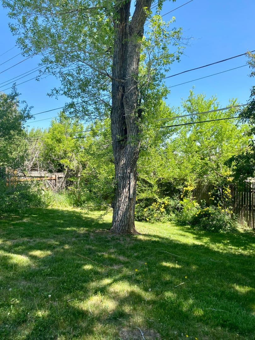 Boulder House: 3055 Moorhead Ave